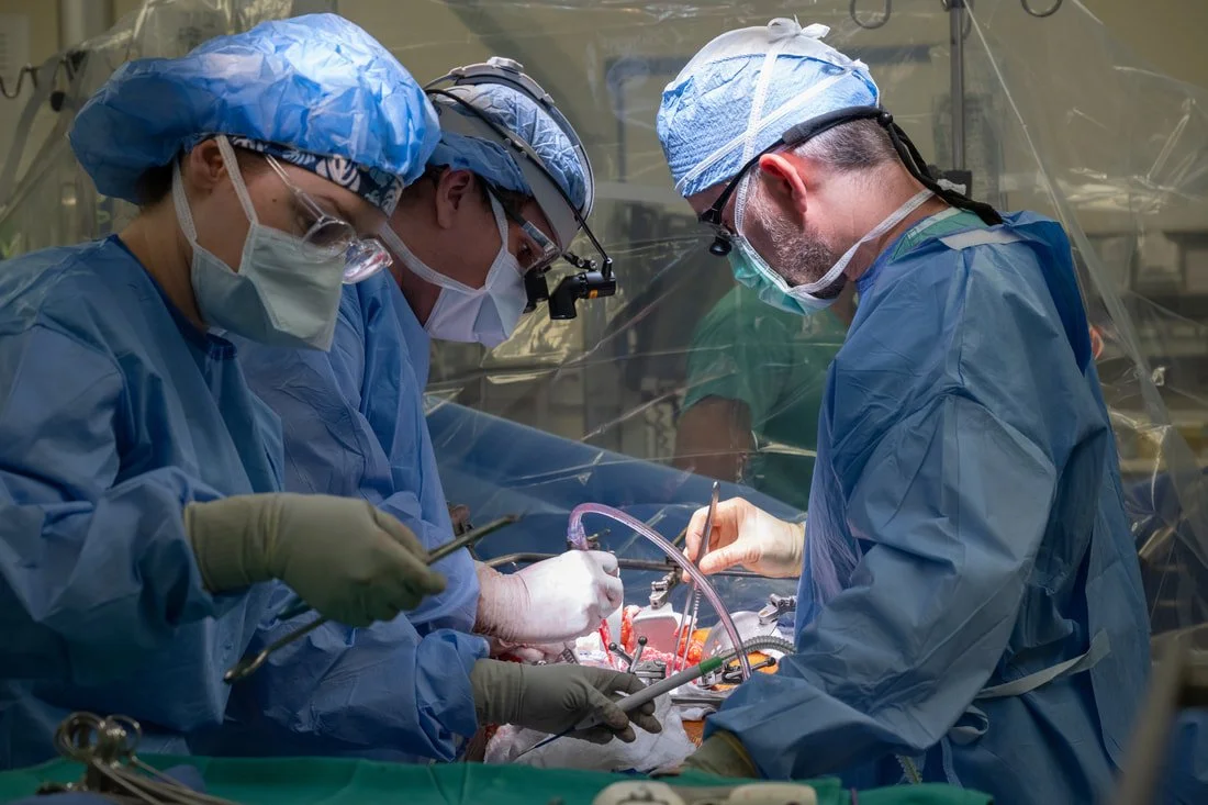 Un equipo médico realiza un trasplante de hígado, un procedimiento en el que los avances en inmunoterapia buscan reducir el rechazo y permitir, en el futuro, prescindir de los fármacos inmunosupresores.