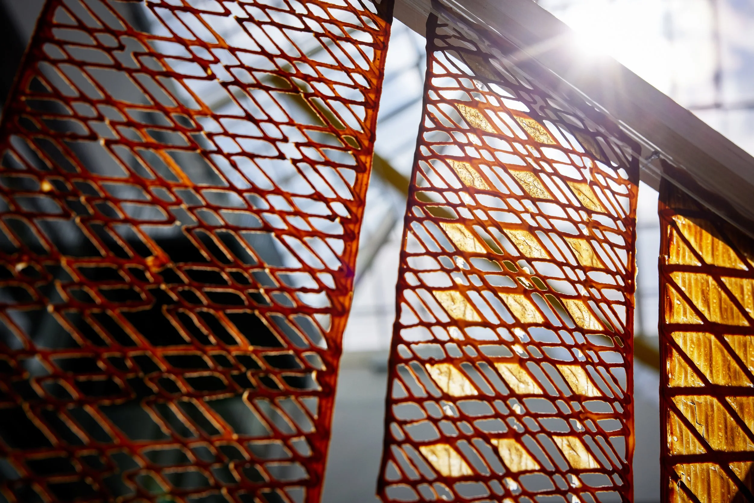 Los paneles impresos en 3D muestran distintos grados de transparencia y patrones geométricos que filtran la luz solar, una de las aplicaciones más prometedoras del nuevo material desarrollado en Suecia.