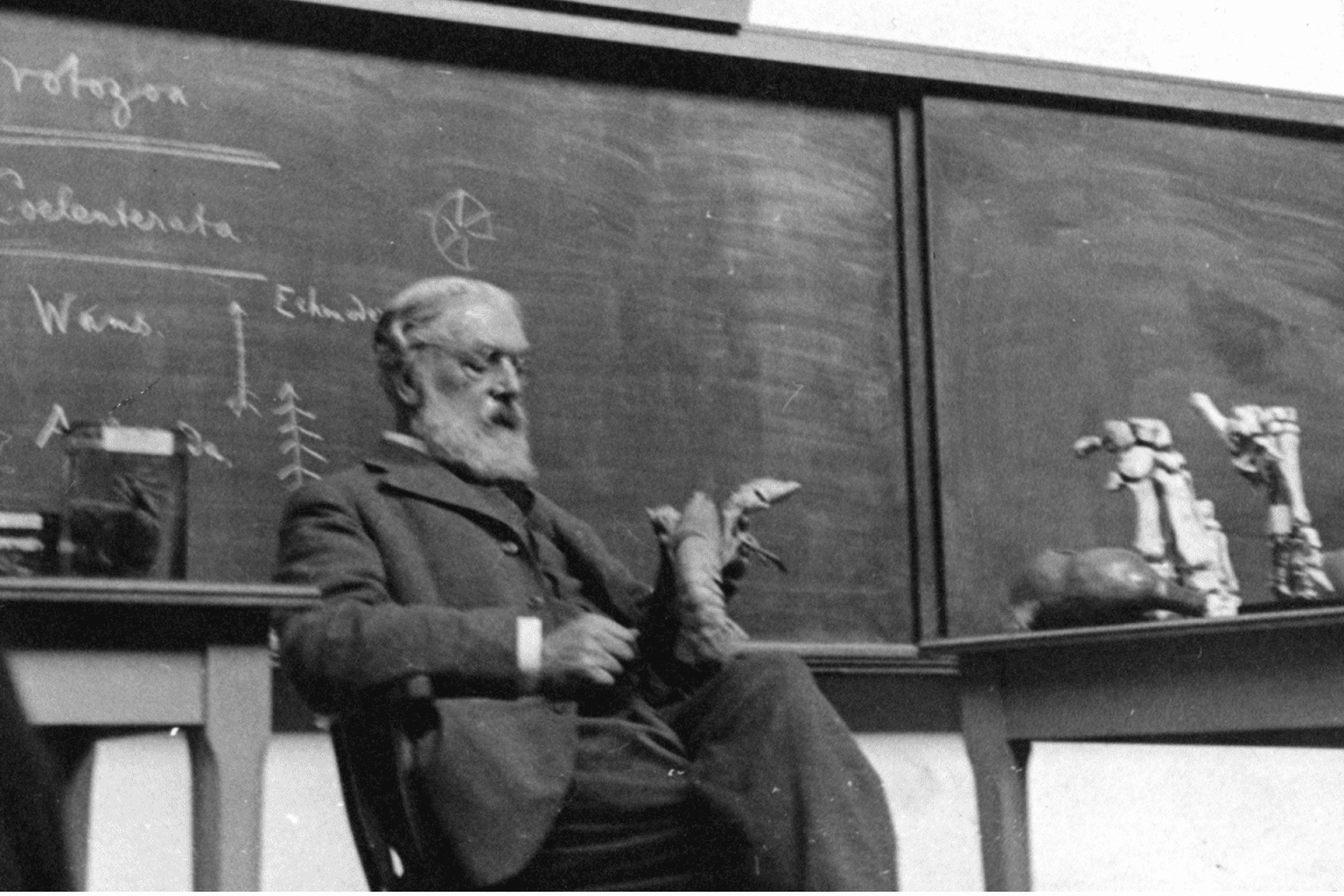 El biólogo y matemático escocés D’Arcy Wentworth Thompson, pionero en el estudio de cómo las leyes físicas y matemáticas determinan las formas de los seres vivos.