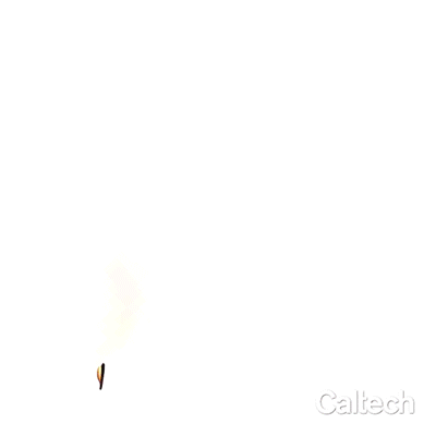 Esta animación muestra, mediante una sección transversal, cómo crece la concha de un molusco bivalvo al incorporar sucesivas capas de material, siguiendo unas reglas geométricas precisas.