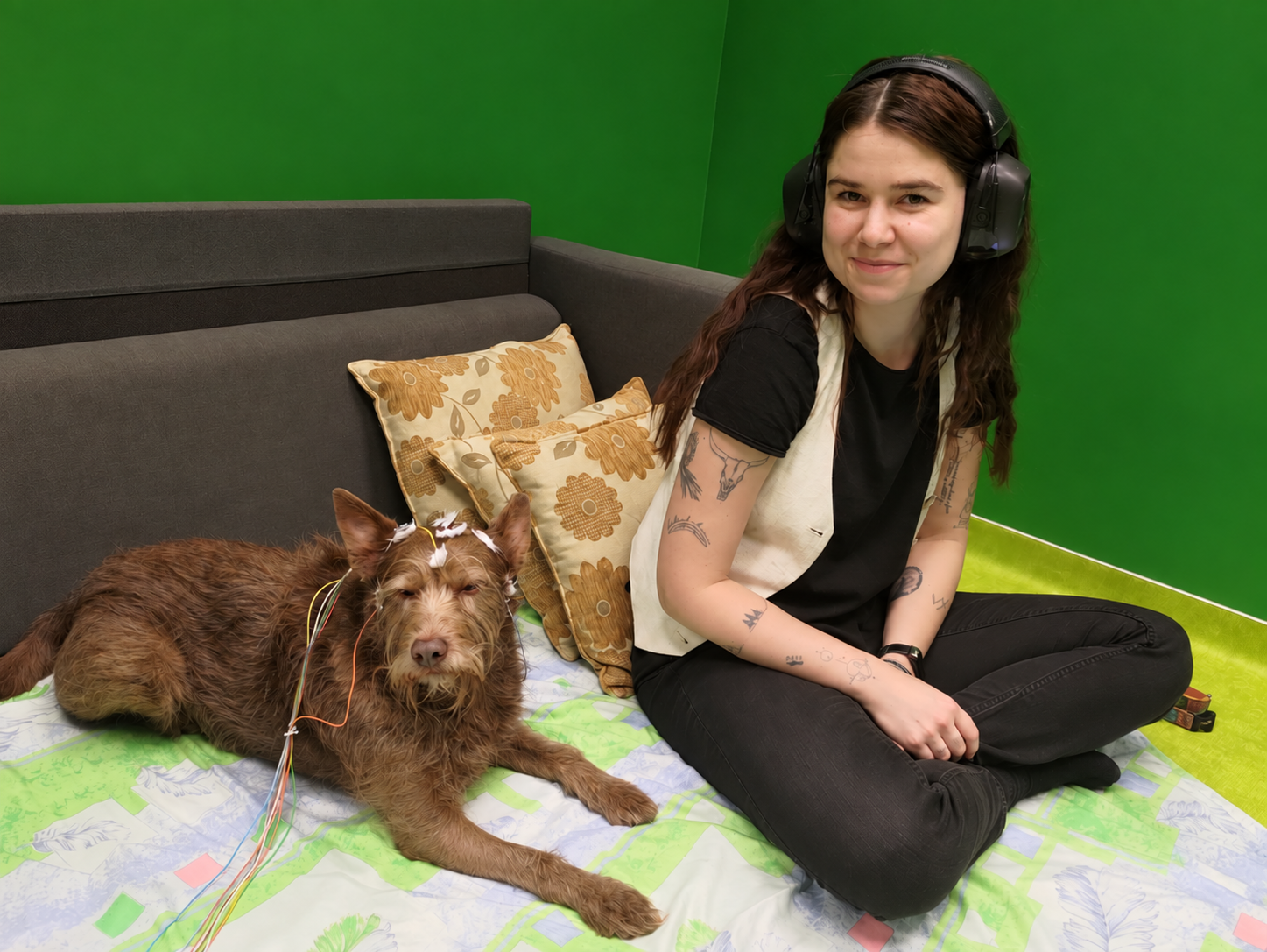 Perro y propietaria, preparados para una medición con electroencefalografía durante el experimento sobre cómo el cerebro canino procesa el habla humana.