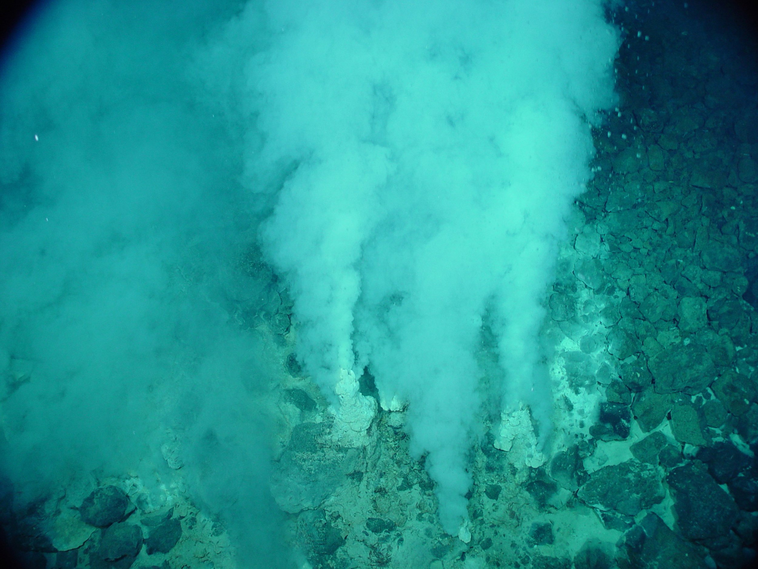 Fumarolas hidrotermales blancas en el campo volcánico de Eifuku (Japón), donde fluidos ricos en minerales emergen del fondo oceánico y alimentan ecosistemas basados en la energía química en ausencia de luz solar