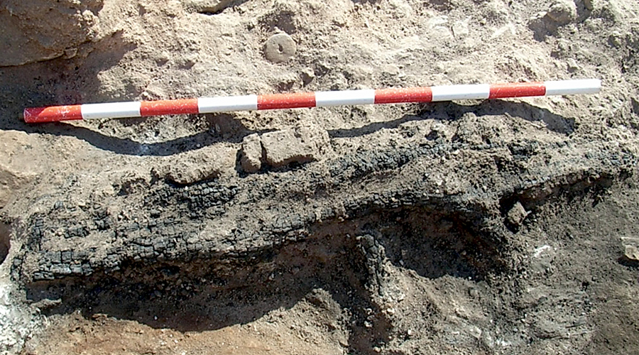 Restos de las maderas del telar documentadas durante la excavación arqueológica en el yacimiento de Cabezo Redondo (Alicante), correspondientes a parte de la estructura de un telar vertical de la Edad del Bronce.