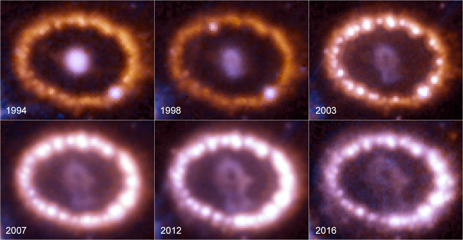 La supernova SN 1987A, la explosión estelar más cercana observada desde la invención del telescopio, muestra en esta secuencia de imágenes captadas por el Hubble cómo su anillo de gas fue iluminándose y transformándose entre 1994 y 2016.