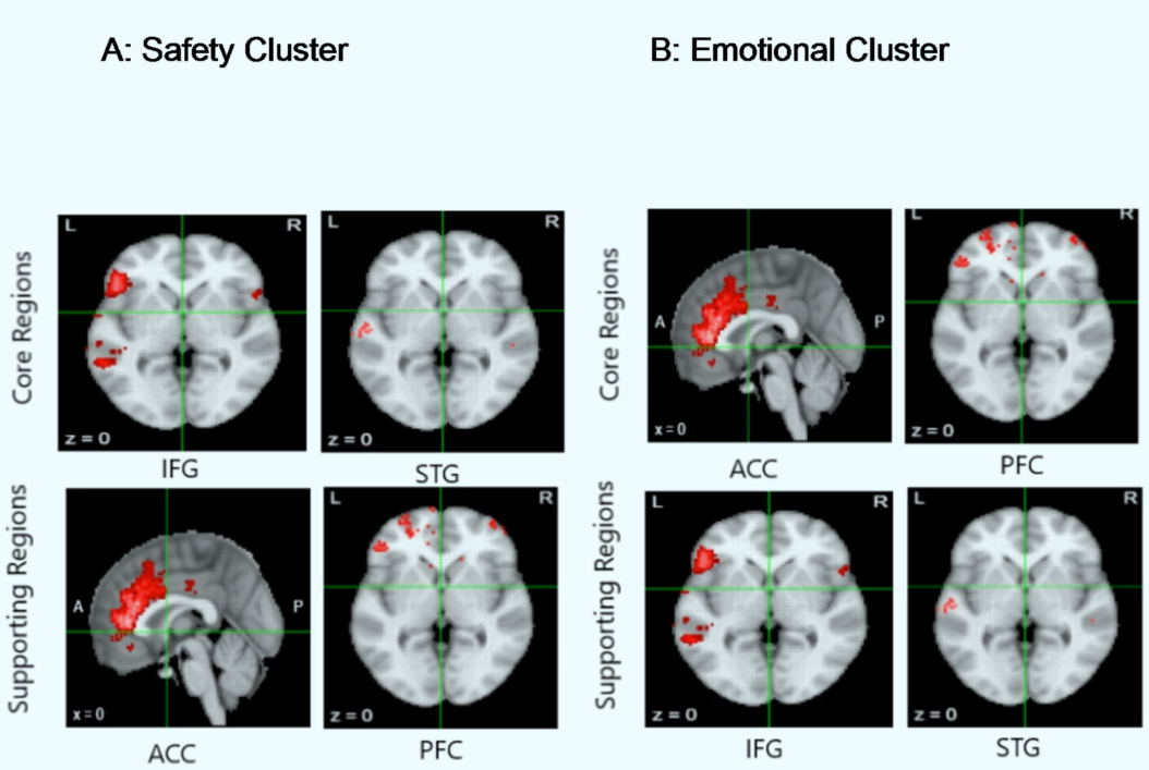 La activación cerebral de las principales áreas implicadas en situaciones de acoso verbal callejero se agrupadas en cuatro marcos: seguridad (A), emocional (B), social y cognitivo.