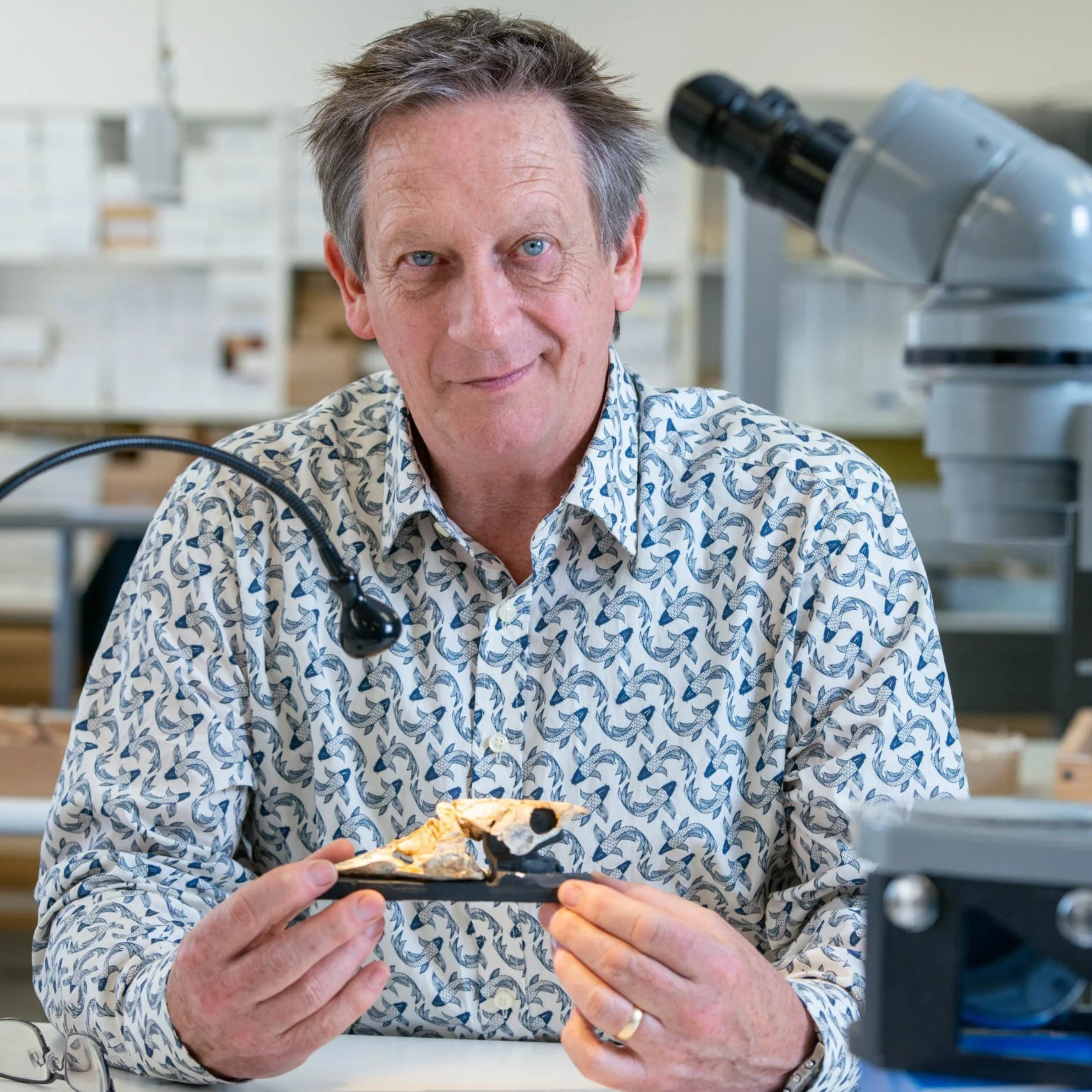 l paleontólogo australiano John Long, de la Universidad Flinders, sostiene una reconstrucción fósil en su laboratorio.