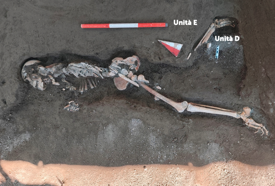 Restos de un joven de entre 18 y 20 años hallado en Porta Stabia. El análisis estratigráfico indica que sobrevivió a la primera fase de la erupción del Vesubio y trató de escapar antes de ser alcanzado por una corriente piroclástica.