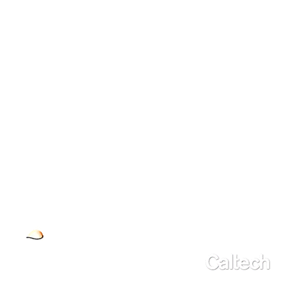 Esta animación muestra cómo se forman las sucesivas líneas de crecimiento de la concha de un molusco bivalvo, siguiendo un patrón geométrico que determina su forma final.