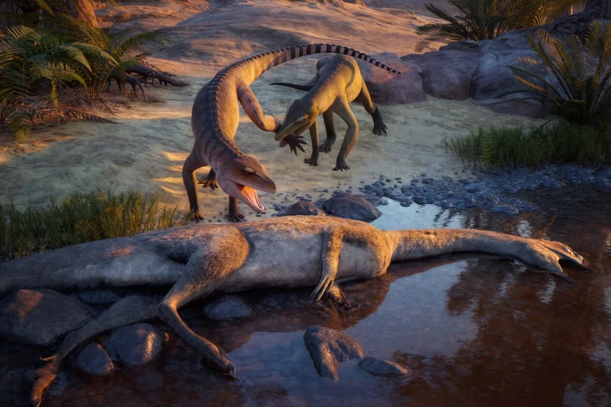 Hace 210 millones de años, un Eosphorosuchus lacrimosa (izquierda) está siendo molestado por un Hesperosuchus agilis (derecha), junto al cadáver de un Coelophysis, en lo que hoy es Ghost Ranch (Nuevo México).