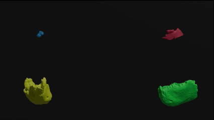 Vídeo de la reconstrucción del rostro del Masripithecus moghraensis.