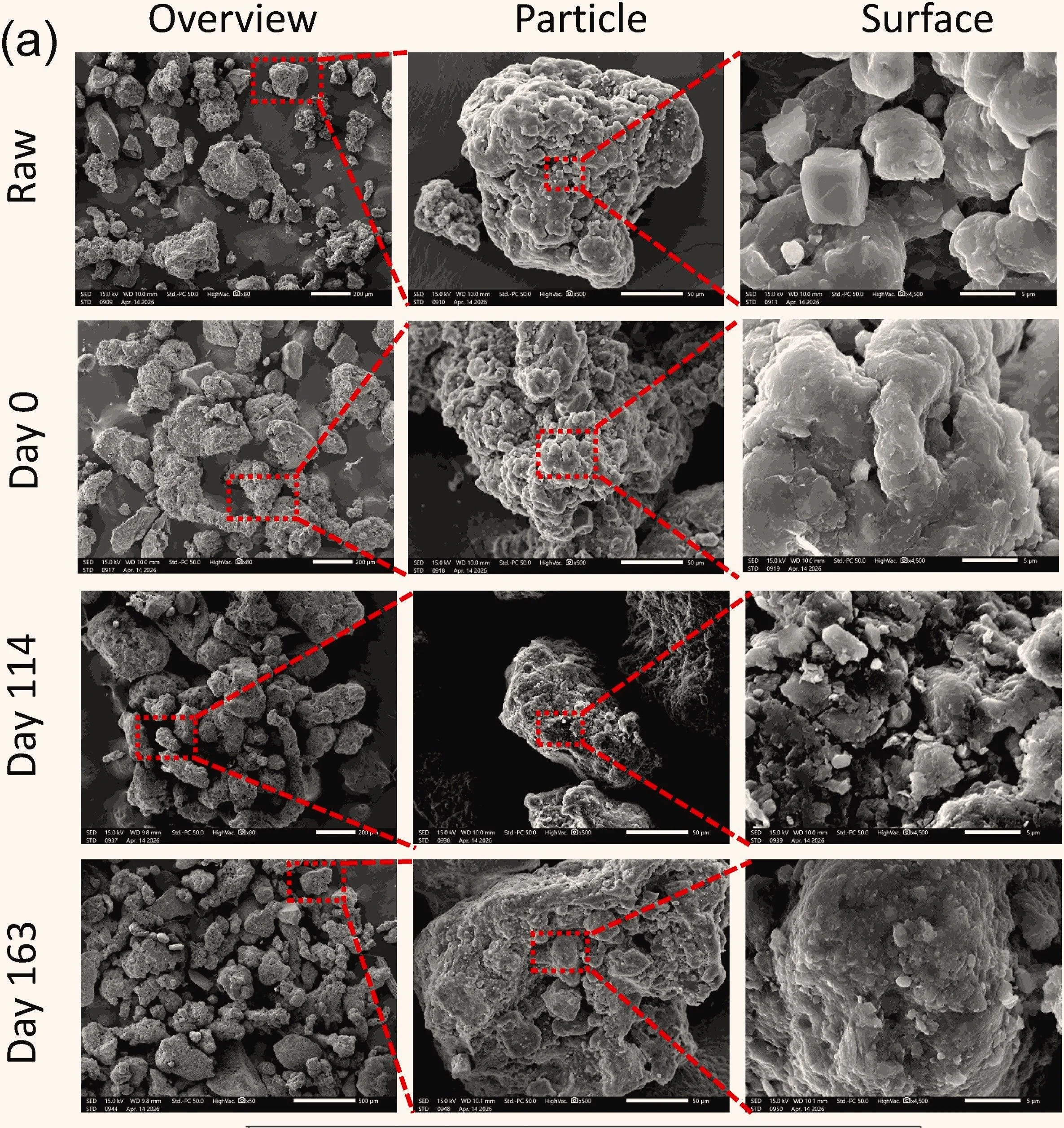 Micrografías obtenidas mediante microscopía electrónica de barrido (SEM) que muestran cómo las partículas procedentes del desgaste de los neumáticos cambian de aspecto tras permanecer en el suelo durante 163 días.