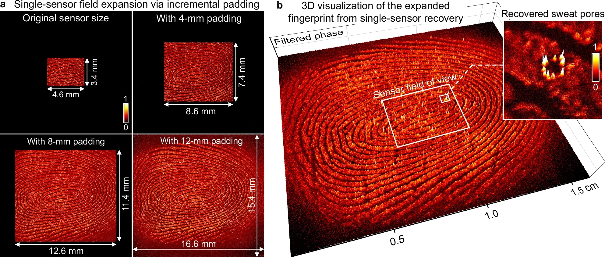 Wang, R., Zhao, Q., Wang, T. et al.