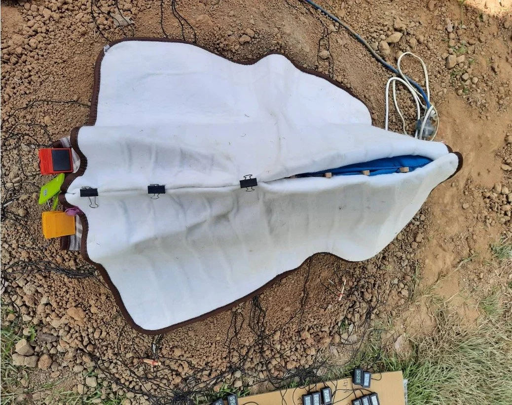 Vista dorsal del modelo de oviraptor utilizado como incubador, diseñado para estudiar cómo el adulto transfería calor a los huevos en nidos organizados en anillos.