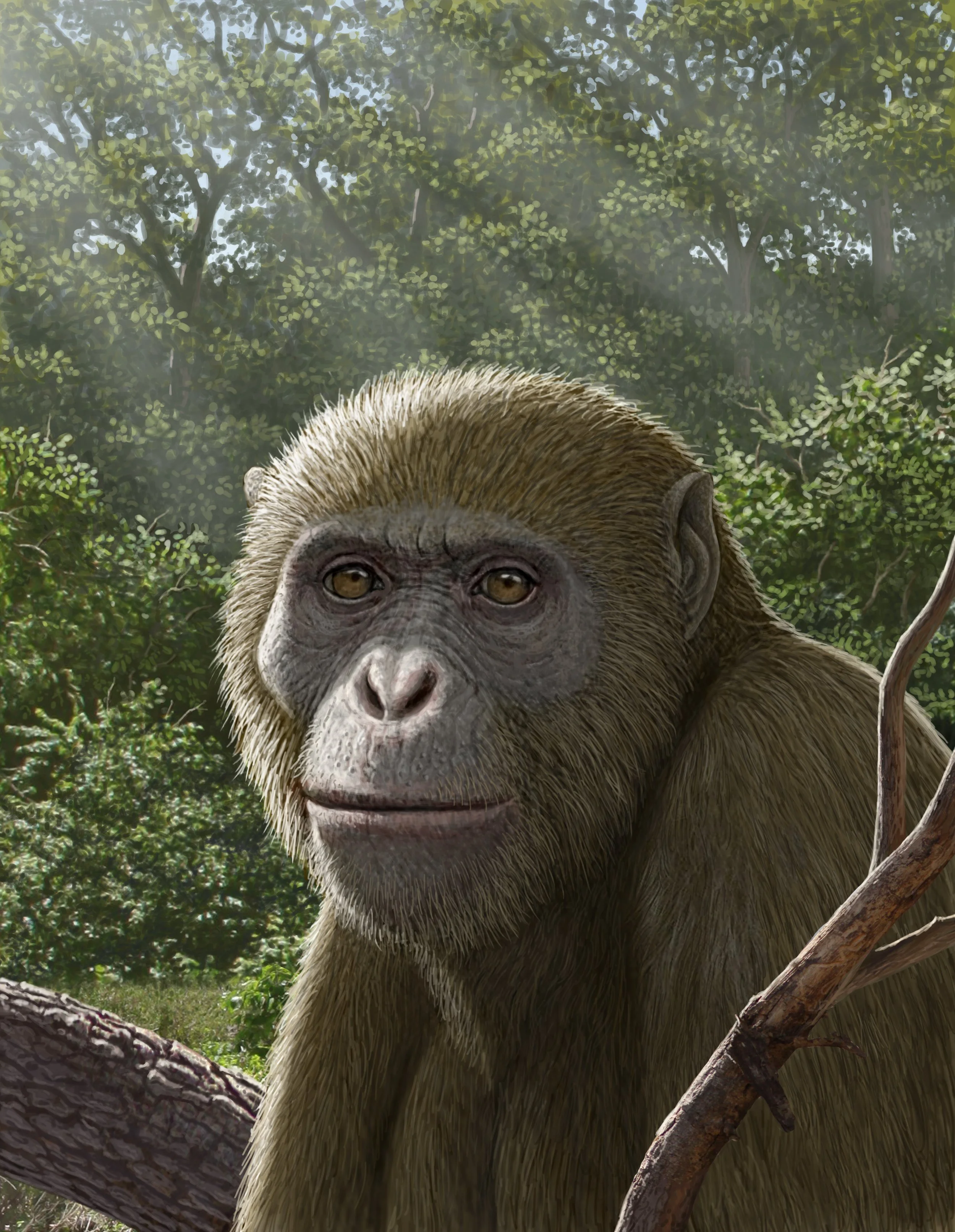 Reconstrucción de Masripithecus moghraensis, realizada por el paleoartista Mauricio Antón.
