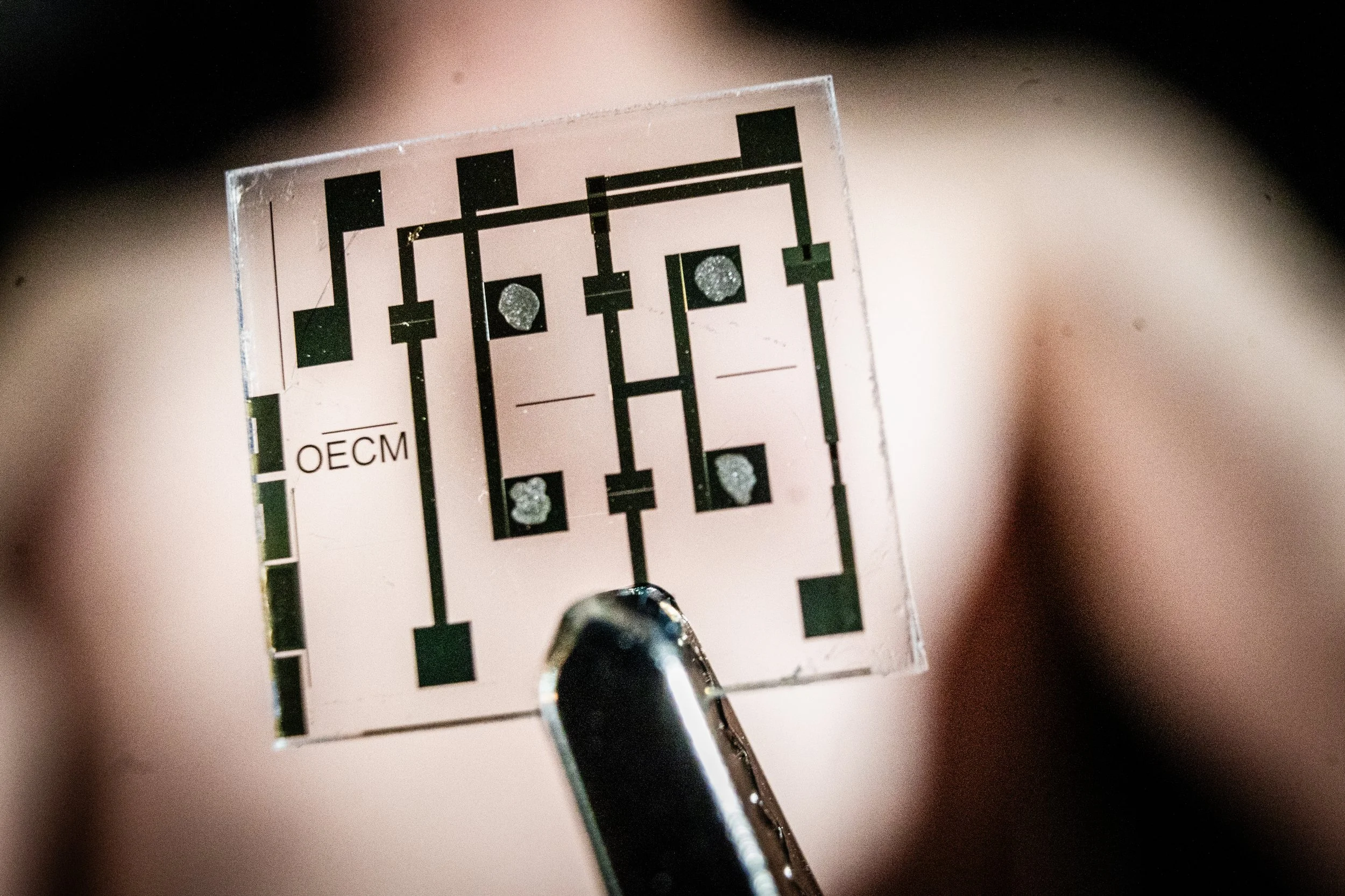 Detalle del chip OECM, el cardiomiocito artificial desarrollado por investigadores de la Universidad de Linköping.