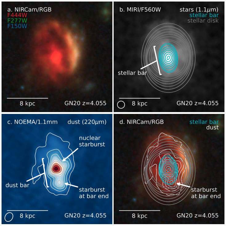 Imágenes del James Webb y del radiotelescopio NOEMA de la galaxia GN20, observada apenas 1.500 millones de años después del big bang.