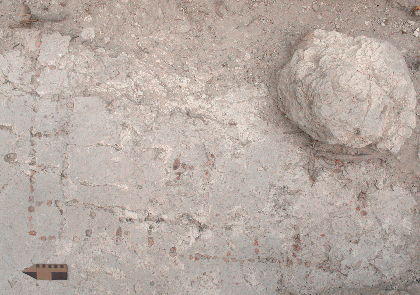 Vista del tablero de patolli en el pavimento de la Estructura 6L-19, en Naachtun (Petén, Guatemala), donde los fragmentos cerámicos fueron incrustados en el estuco fresco para formar un diseño en mosaico único en el mundo maya.