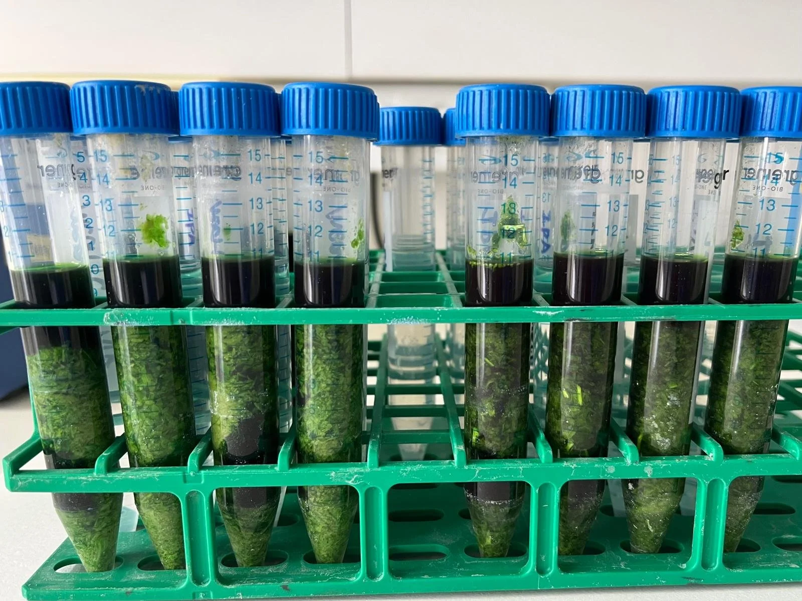 Extracción de contaminantes procedentes de neumáticos de tejidos vegetales mediante un disolvente orgánico.