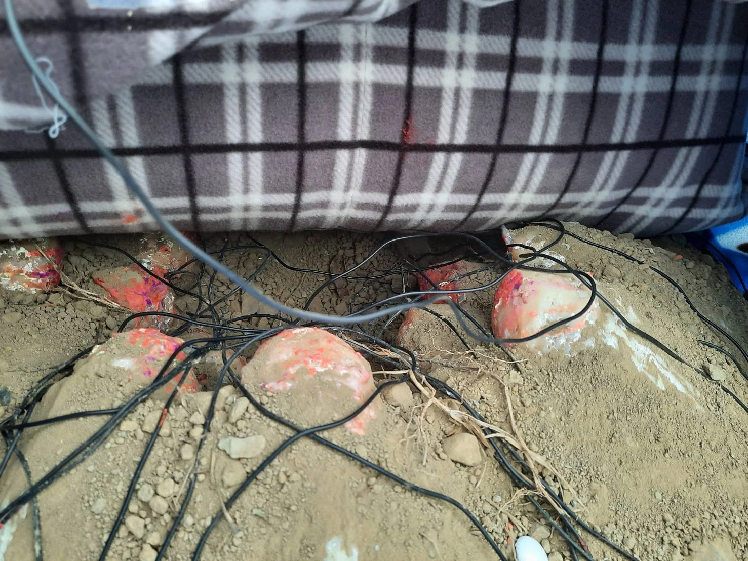 Vista lateral del nido con el modelo de oviraptor colocado encima durante los experimentos de incubación.