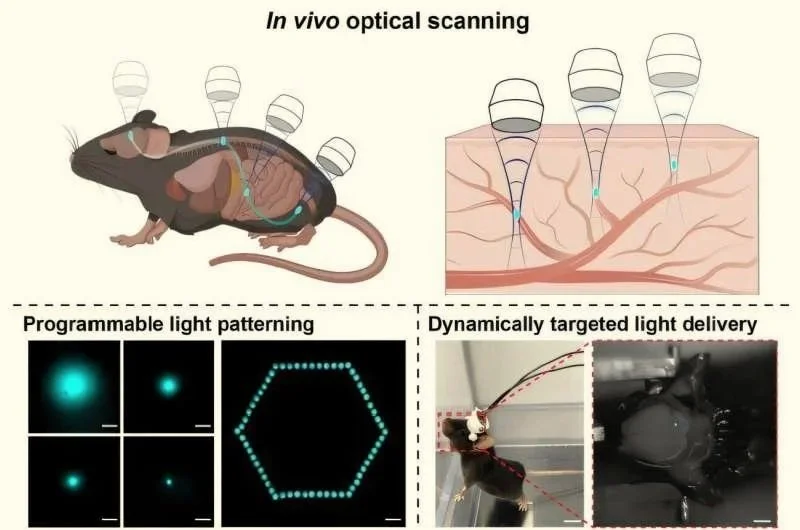 Esquema del experimento: los ultrasonidos activan nanopartículas distribuidas por el organismo para generar luz en puntos concretos, lo que permite un escaneo óptico y una estimulación dirigida en tejidos profundos.