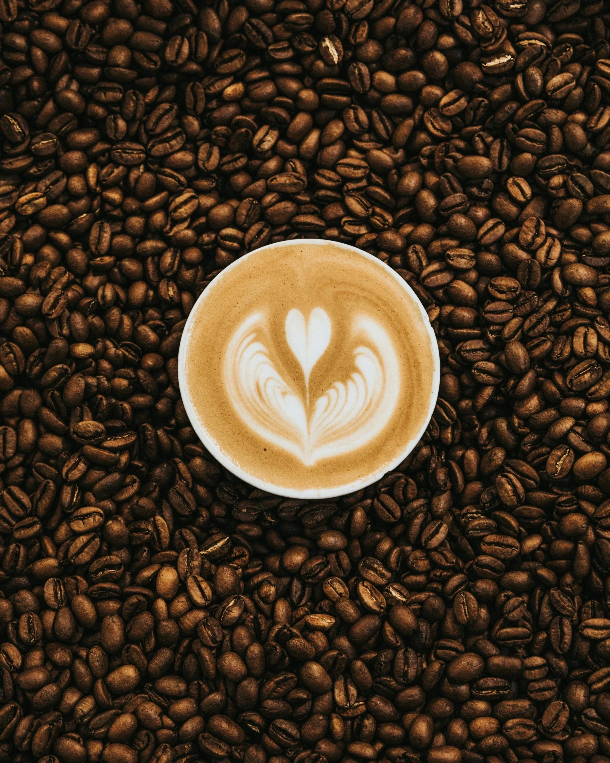 Los compuestos del café, especialmente los polifenoles presentes en los granos tostados, pueden activar el receptor NR4A1, una vía biológica clave vinculada a la protección frente al envejecimiento y las enfermedades.