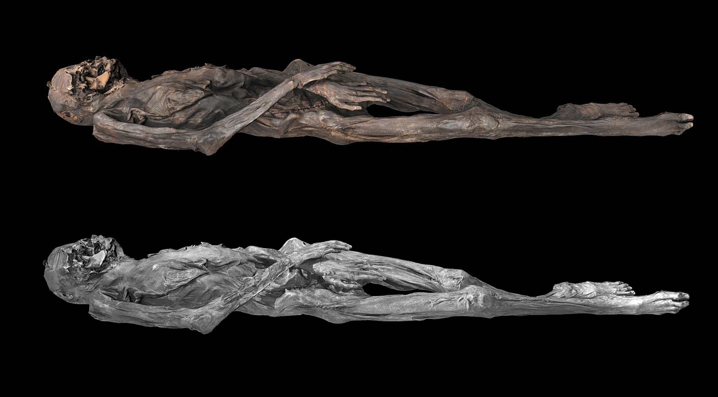Modelo 3D de la momia tatuada. La imagen superior muestra la textura obtenida con luz visible, mientras que la inferior revela detalles captados mediante fotografía en infrarrojo cercano, invisible al ojo humano.