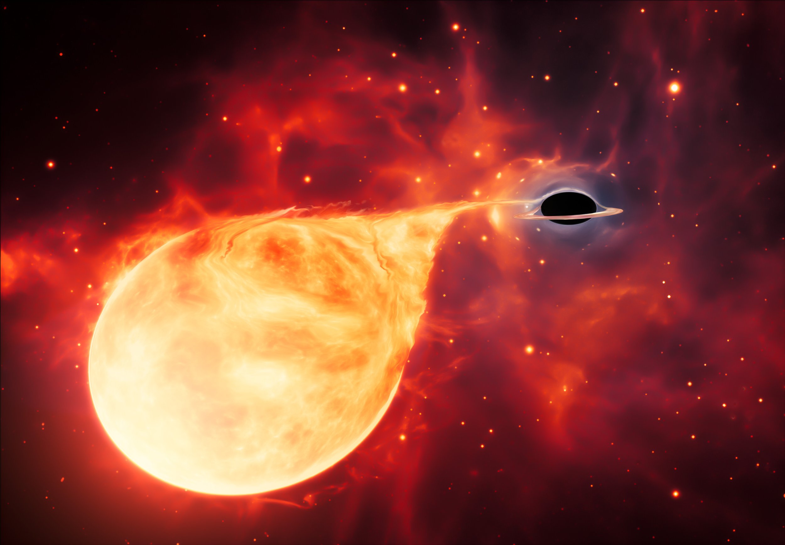 Las fuerzas gravitatorias extremas de un agujero negro pueden desgarrar una estrella que se acerque demasiado, un proceso conocido como evento de disrupción por marea.
