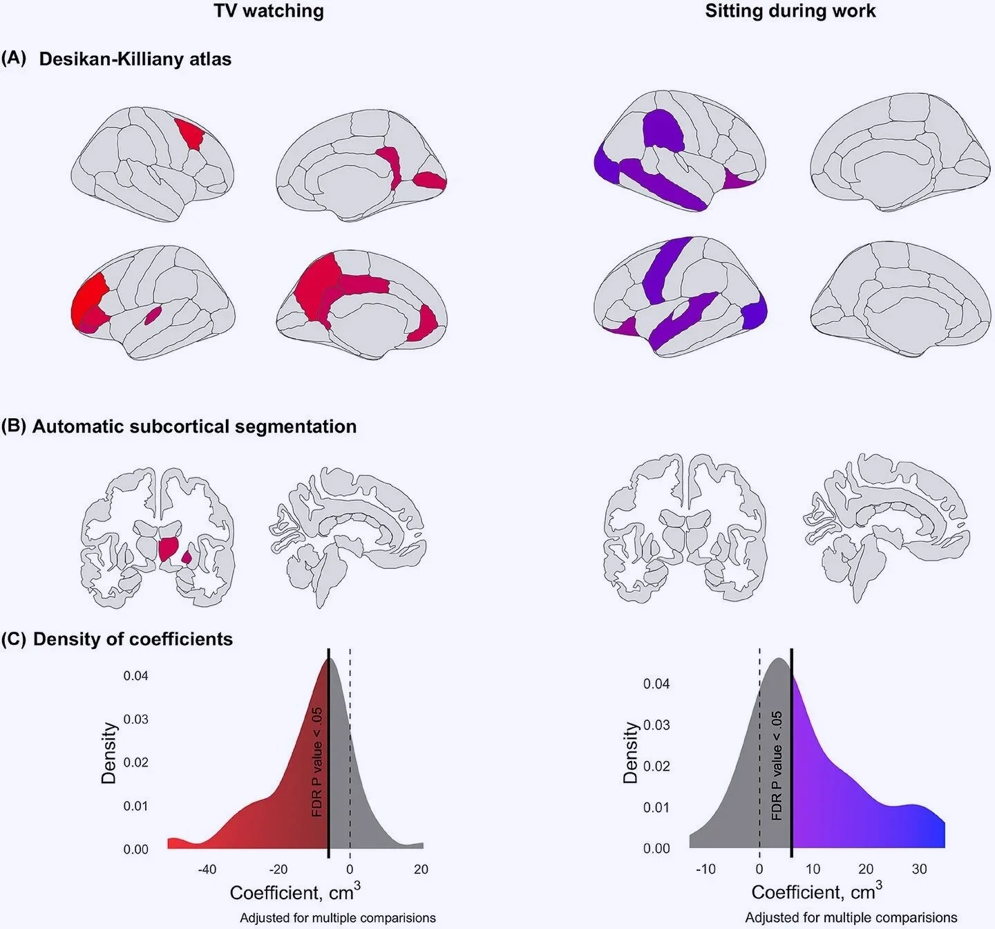 Ver televisión con mucha frecuencia (en rojo) se asoció con un menor volumen en diversas regiones del cerebro, mientras que permanecer sentado trabajando (en azul) se relacionó con un mayor volumen en determinadas áreas