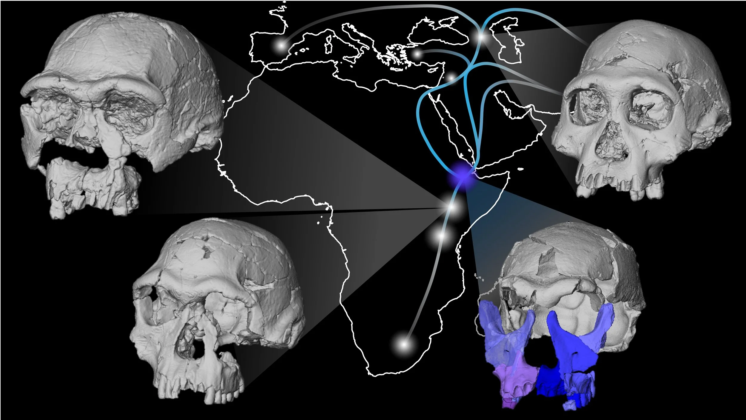 Mapa que muestra las posibles rutas de migración del ancestro humano Homo erectus en África, Europa y Asia durante el Pleistoceno temprano.