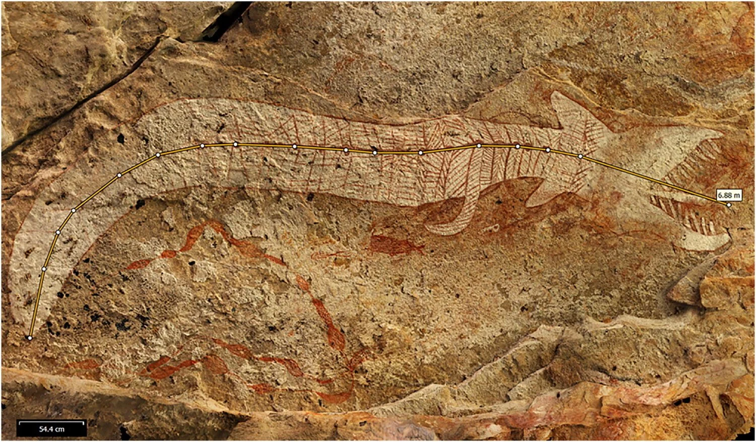 La mayor serpiente arcoíris de Awunbarna alcanza los 6,88 metros siguiendo la curvatura de su cuerpo.