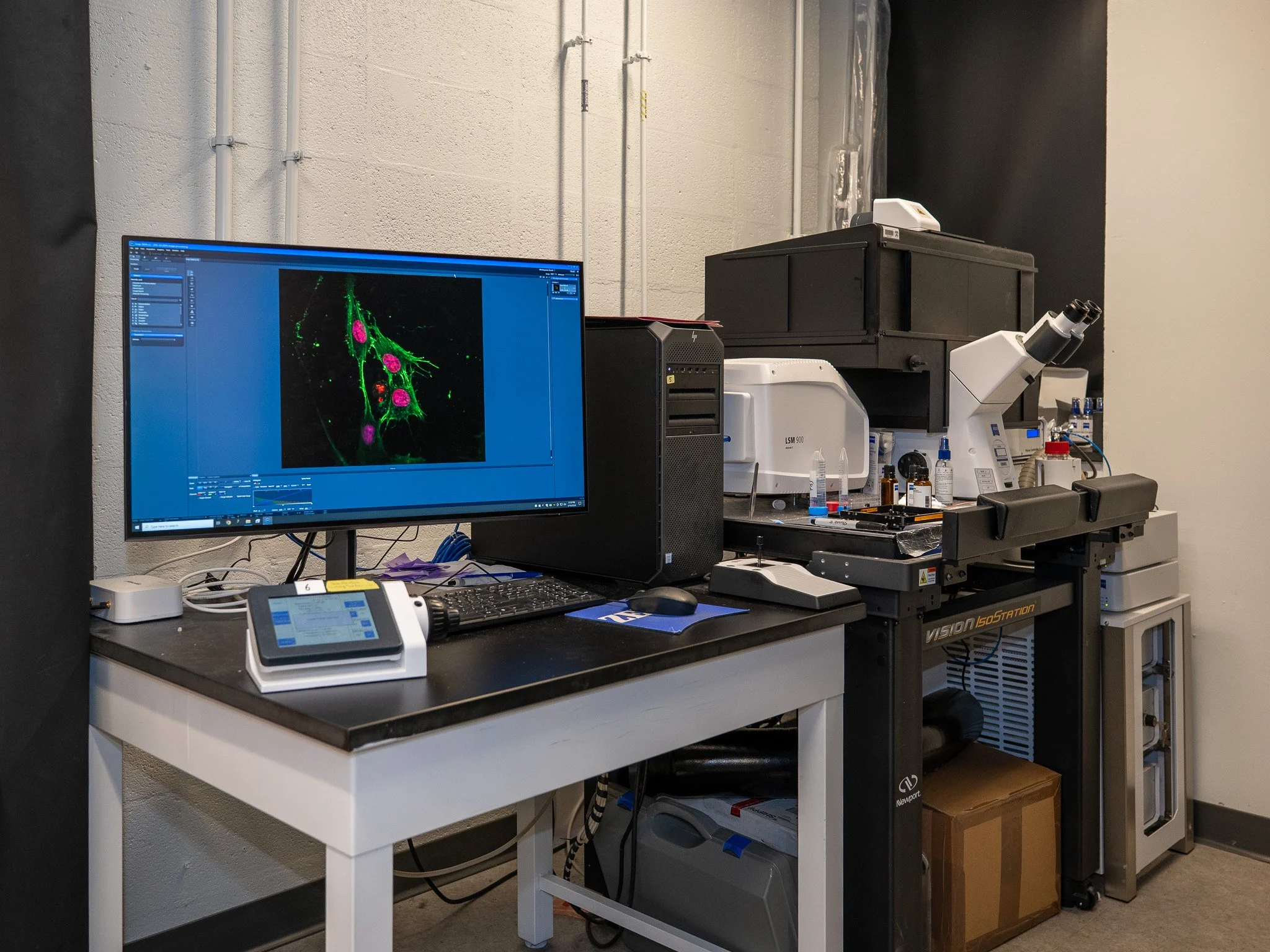 Gracias a las Mollifier Layers, el laboratorio de Shenoy puede inferir los factores ocultos que gobiernan procesos complejos como el plegamiento de la cromatina; en la pantalla, una muestra obtenida con el microscopio, a la derecha