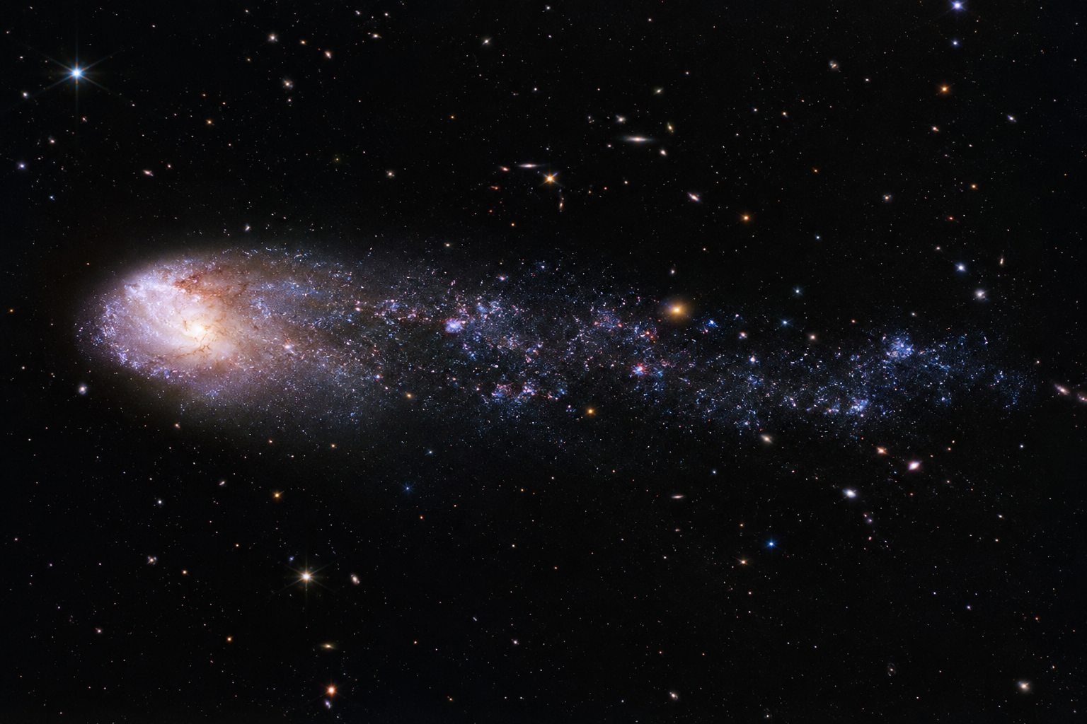 Recreación artística de la galaxia primitiva SPT2349-56-C26, cuya larga cola se habría formado al perder gran parte de su gas frío por el fenómeno de arranque por presión dinámica (ram-pressure stripping).