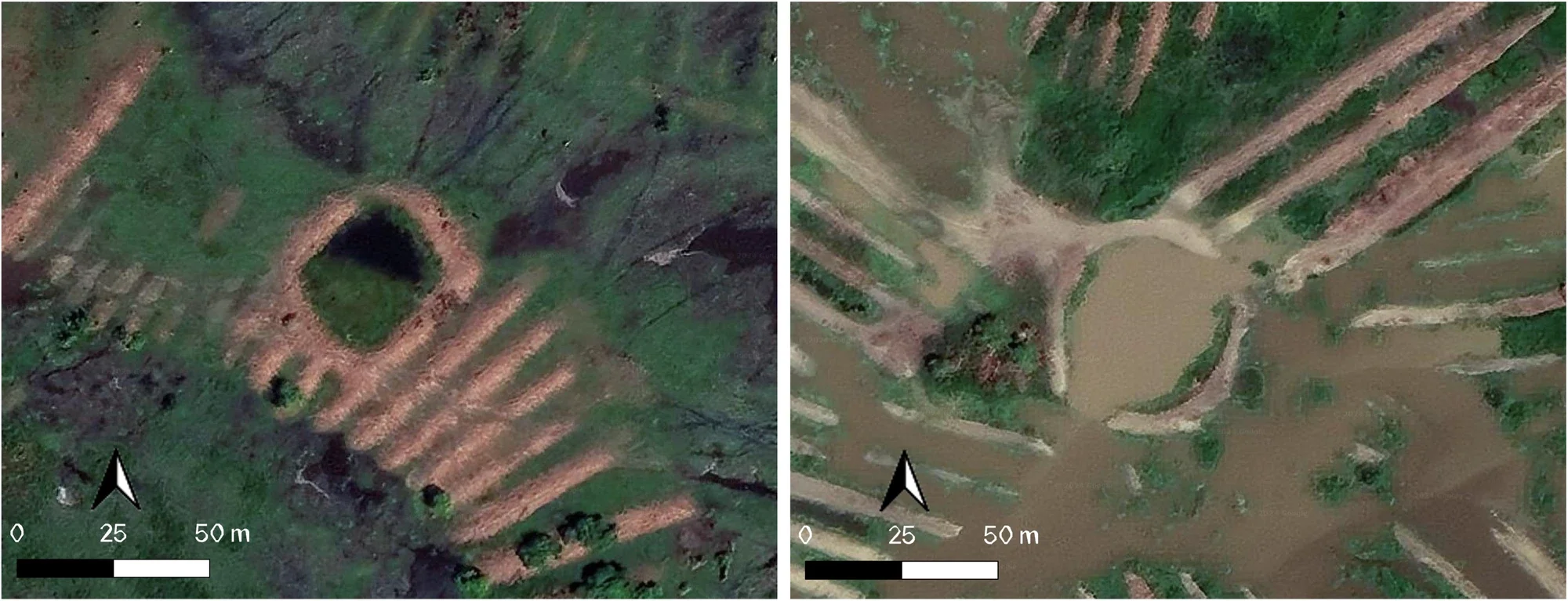 Imágenes de satélite de estructuras de La Mojana que los investigadores interpretan como posibles depósitos de agua destinados a capturar o mantener peces procedentes de las ciénagas.