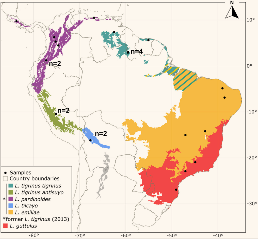 Mapa de las localidades de procedencia de los gatos tigre analizados en el estudio y de las principales ecorregiones ocupadas por cada linaje.