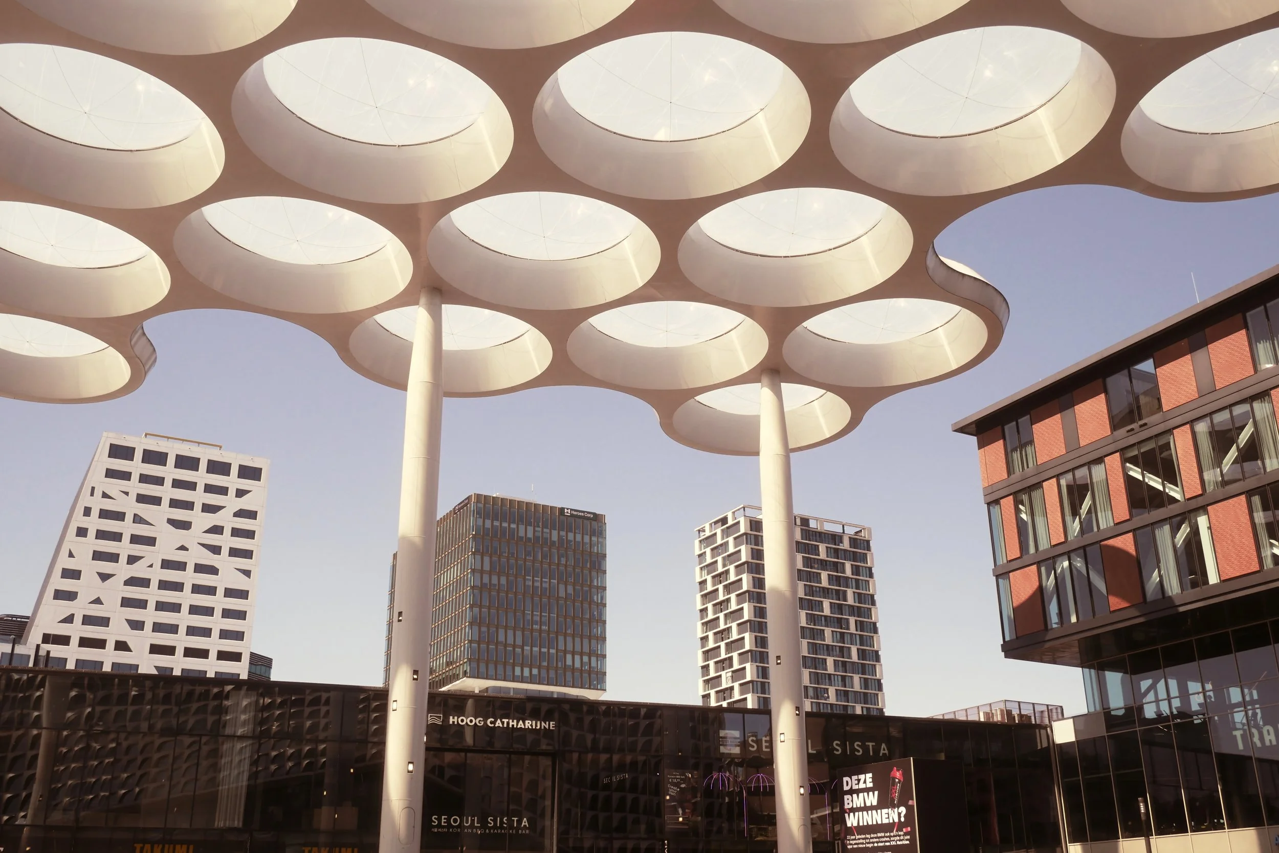 P1010773.jpg