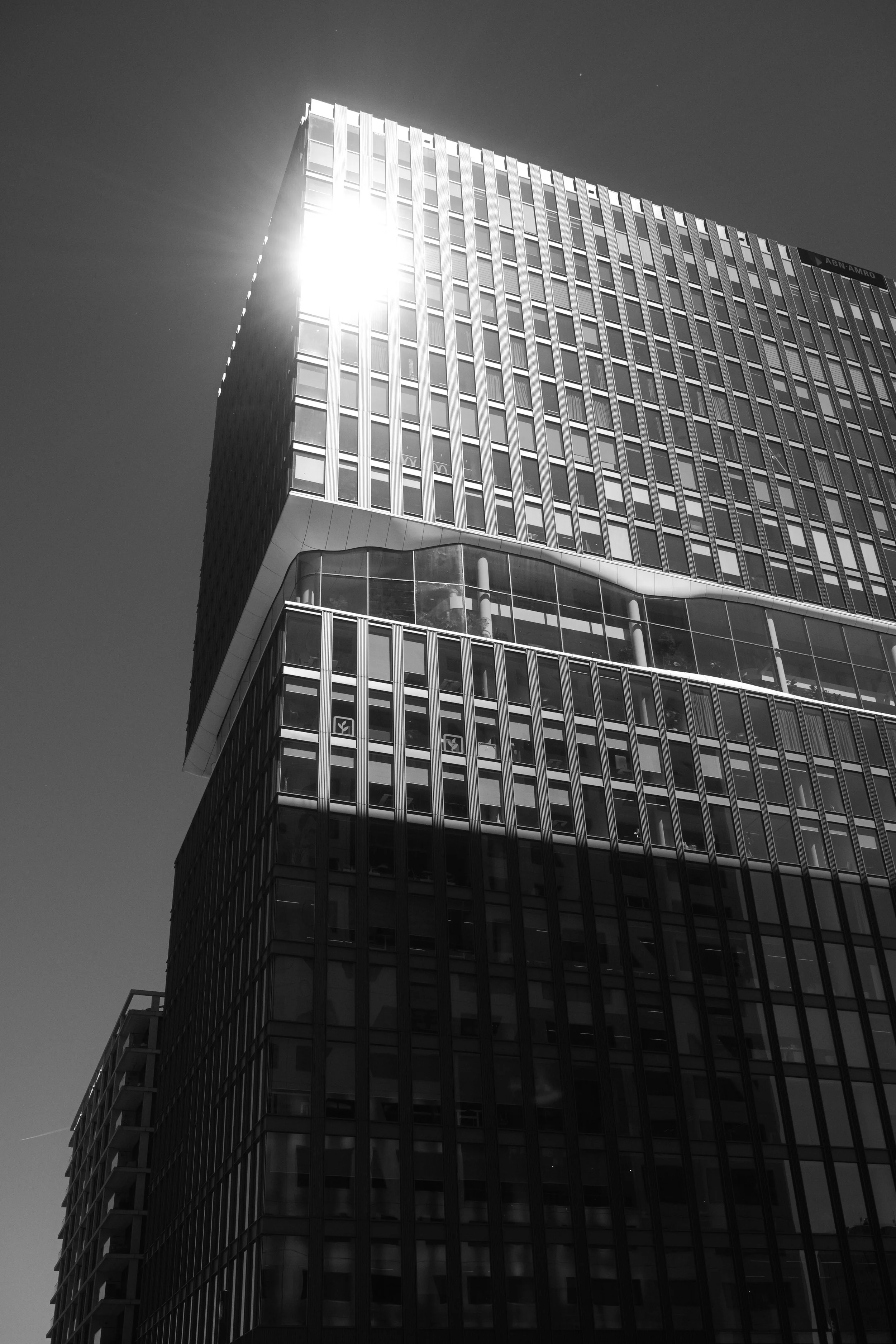 P1010583.jpg