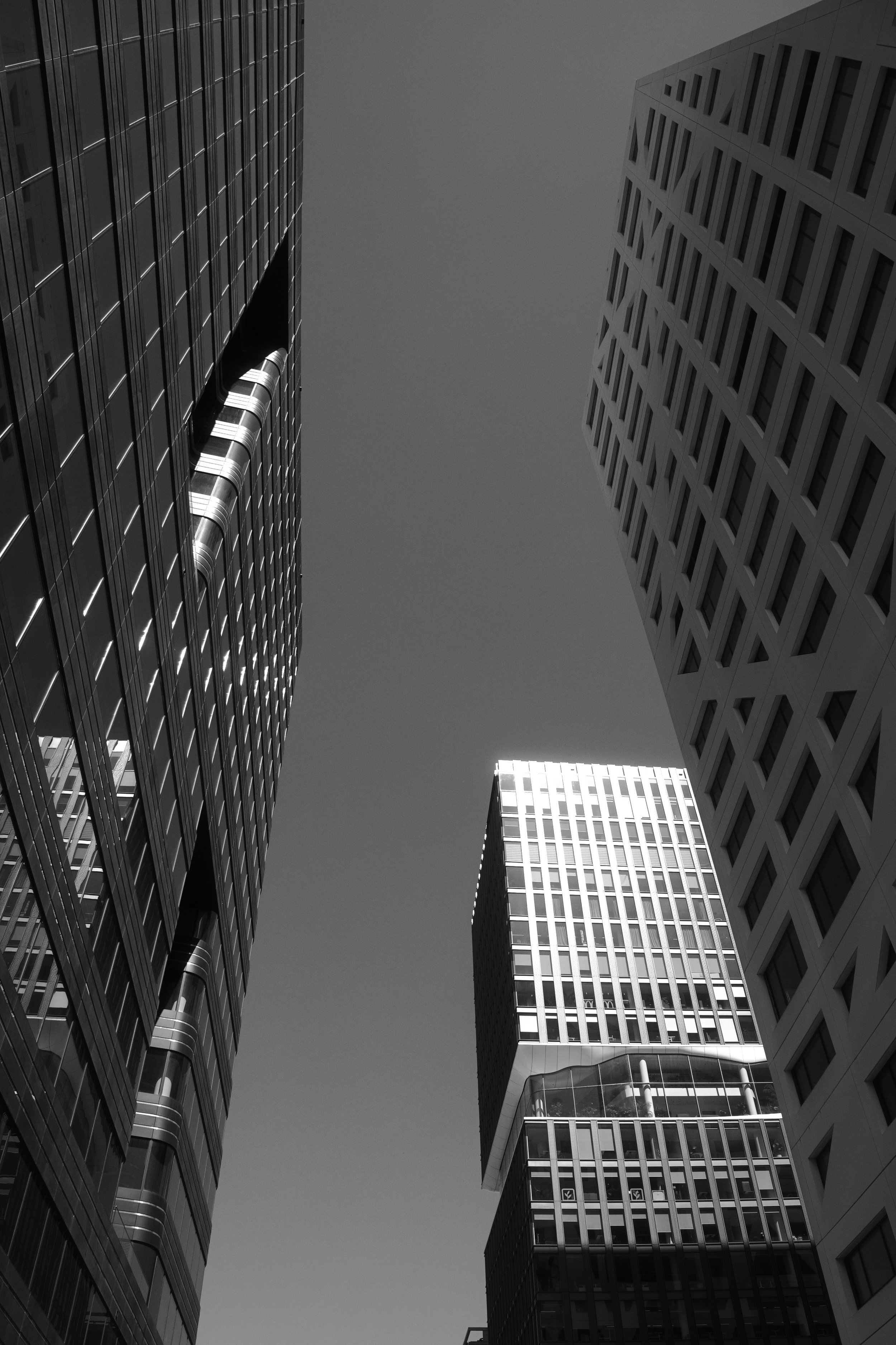 P1010575.jpg