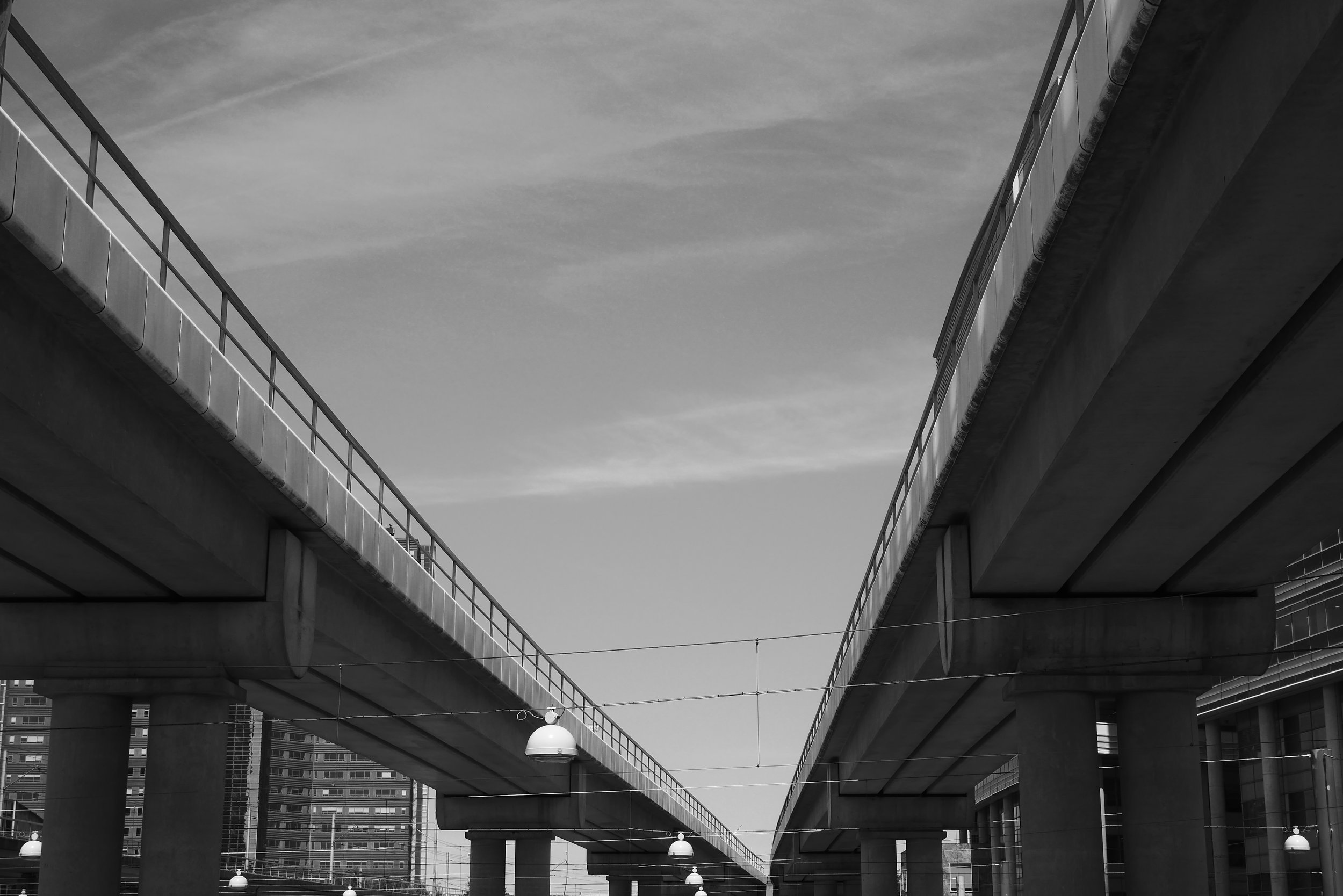 P1020318.JPG