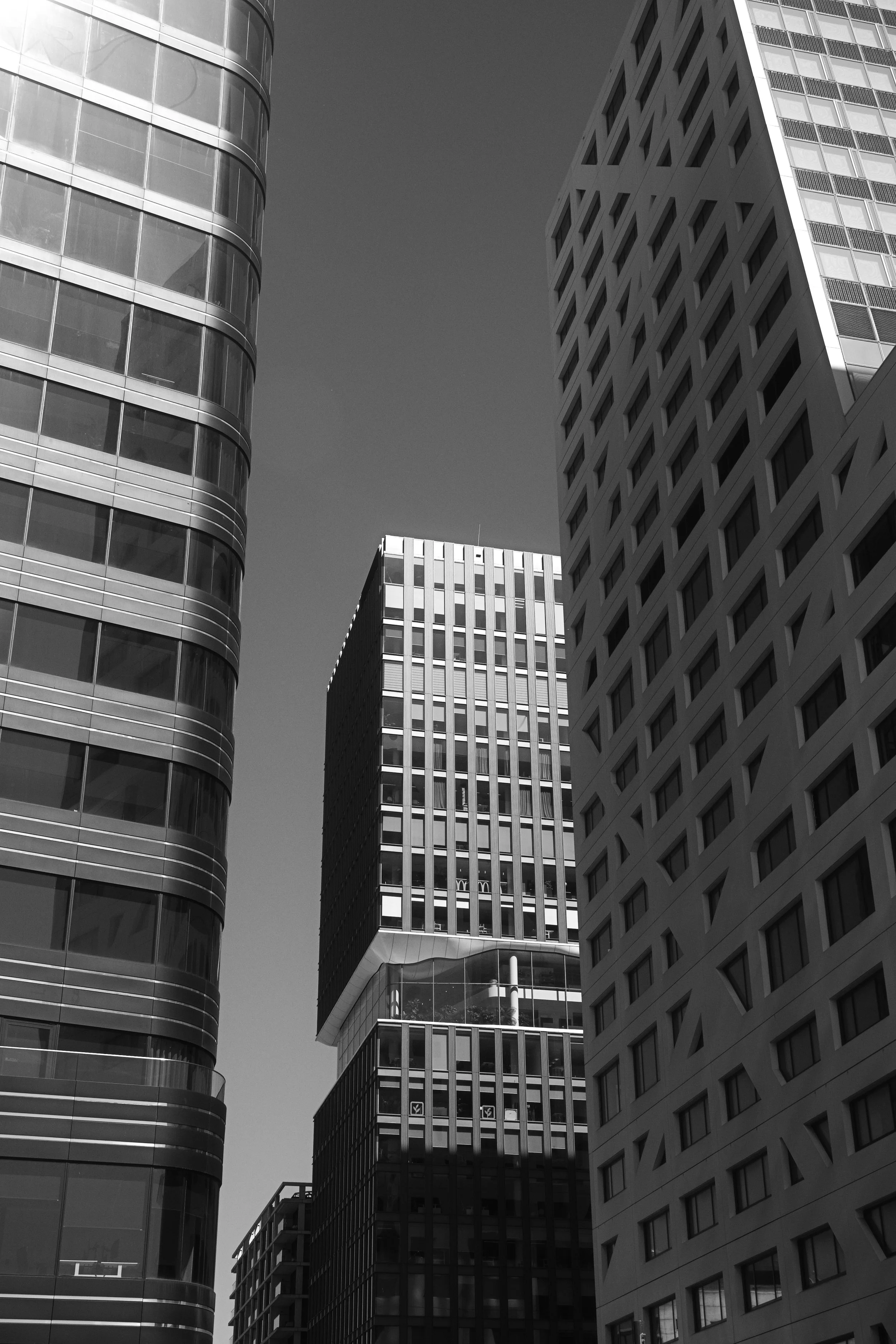 P1010540.jpg
