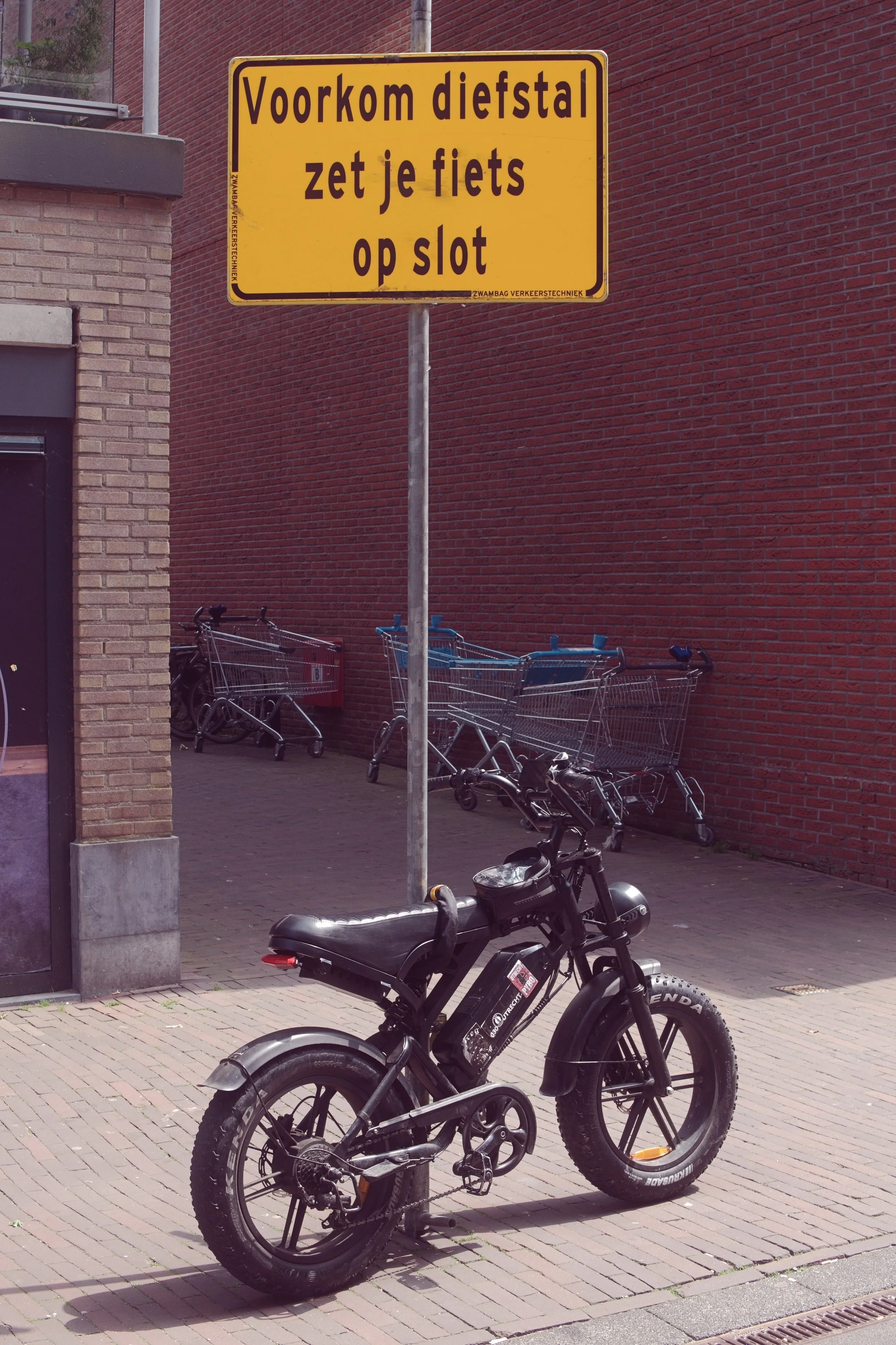 P1020156.jpg