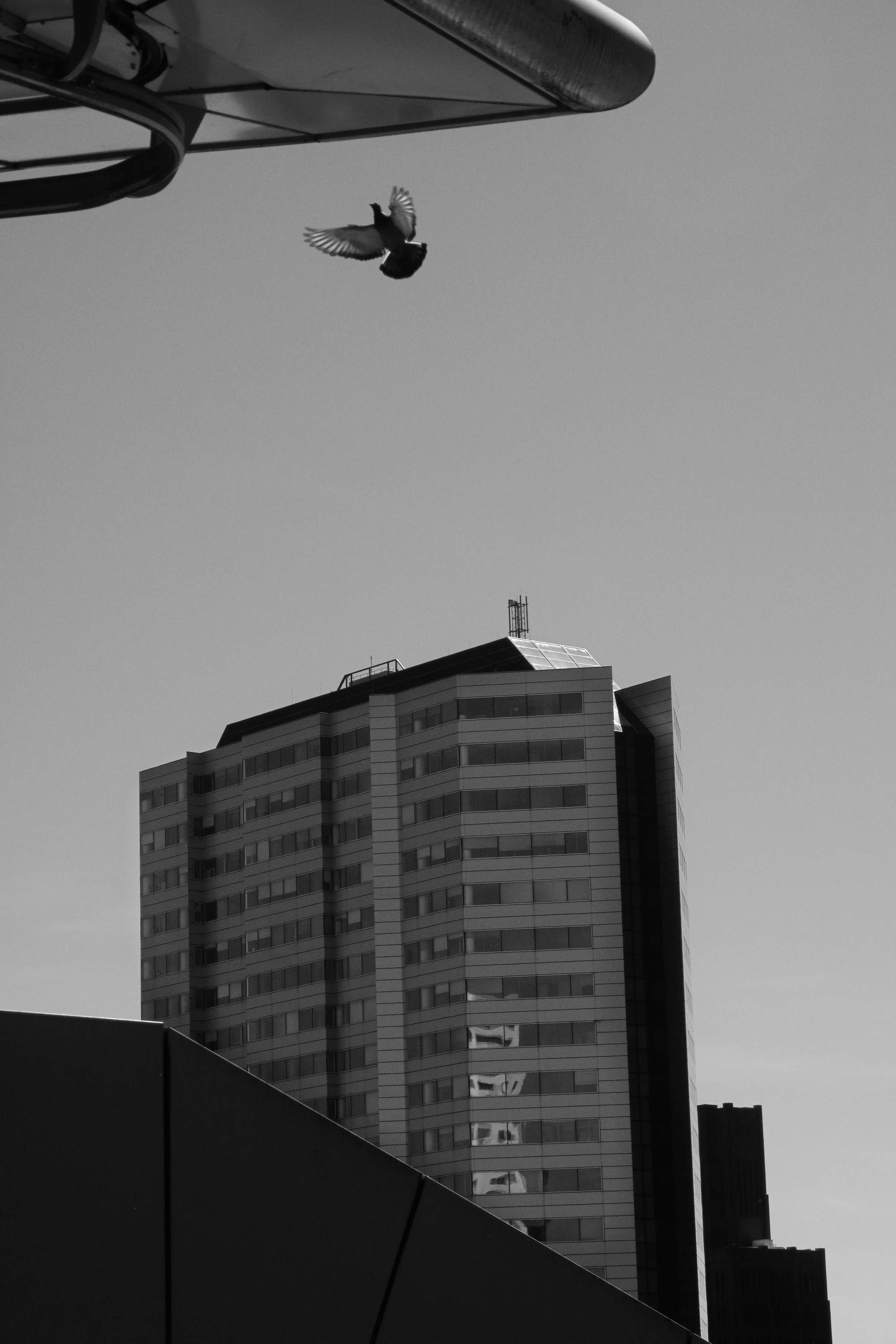 P1010654.jpg