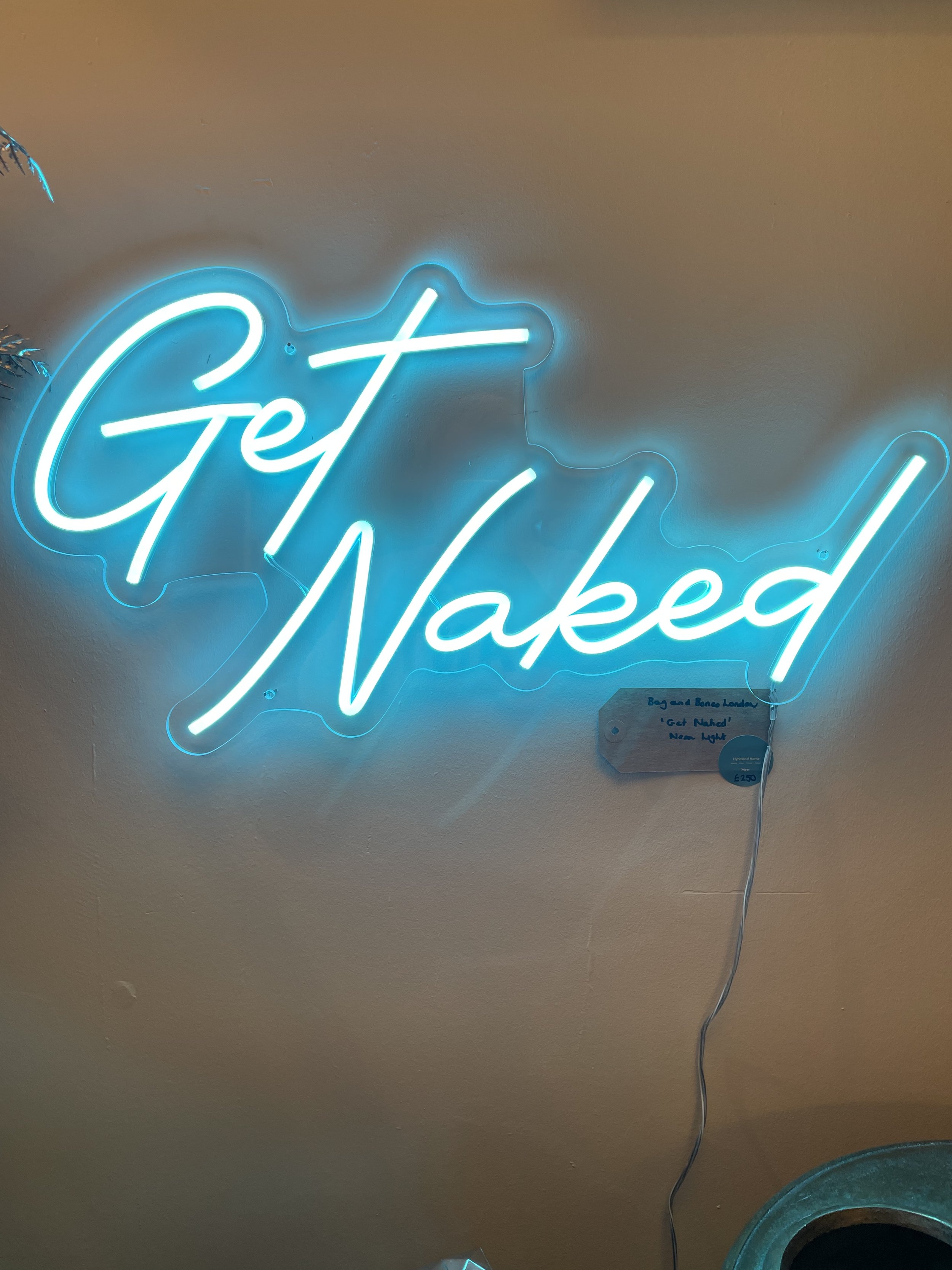 Bag and Bones London “Get Naked” Neon Wall Light