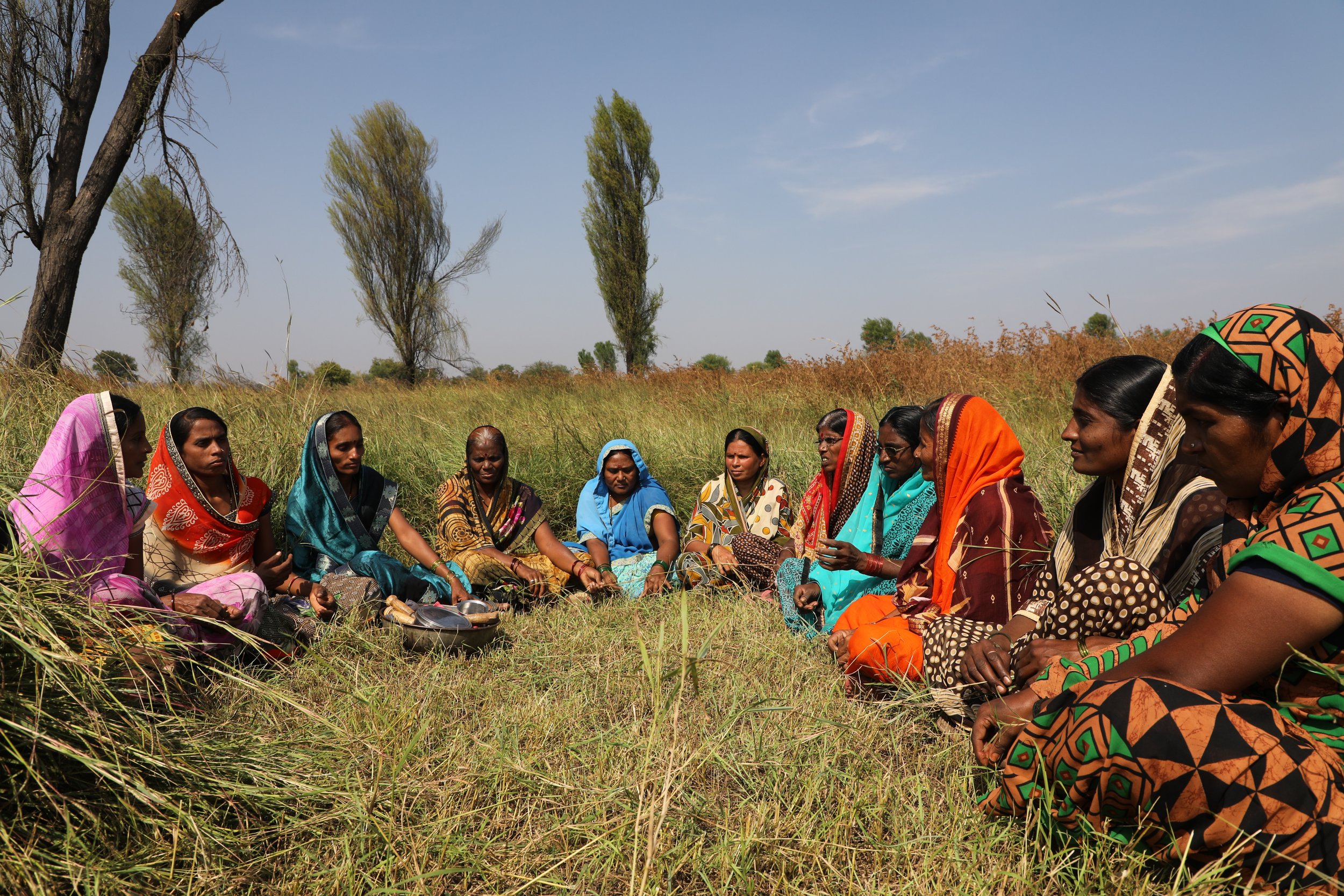 Chipko of the Farmers