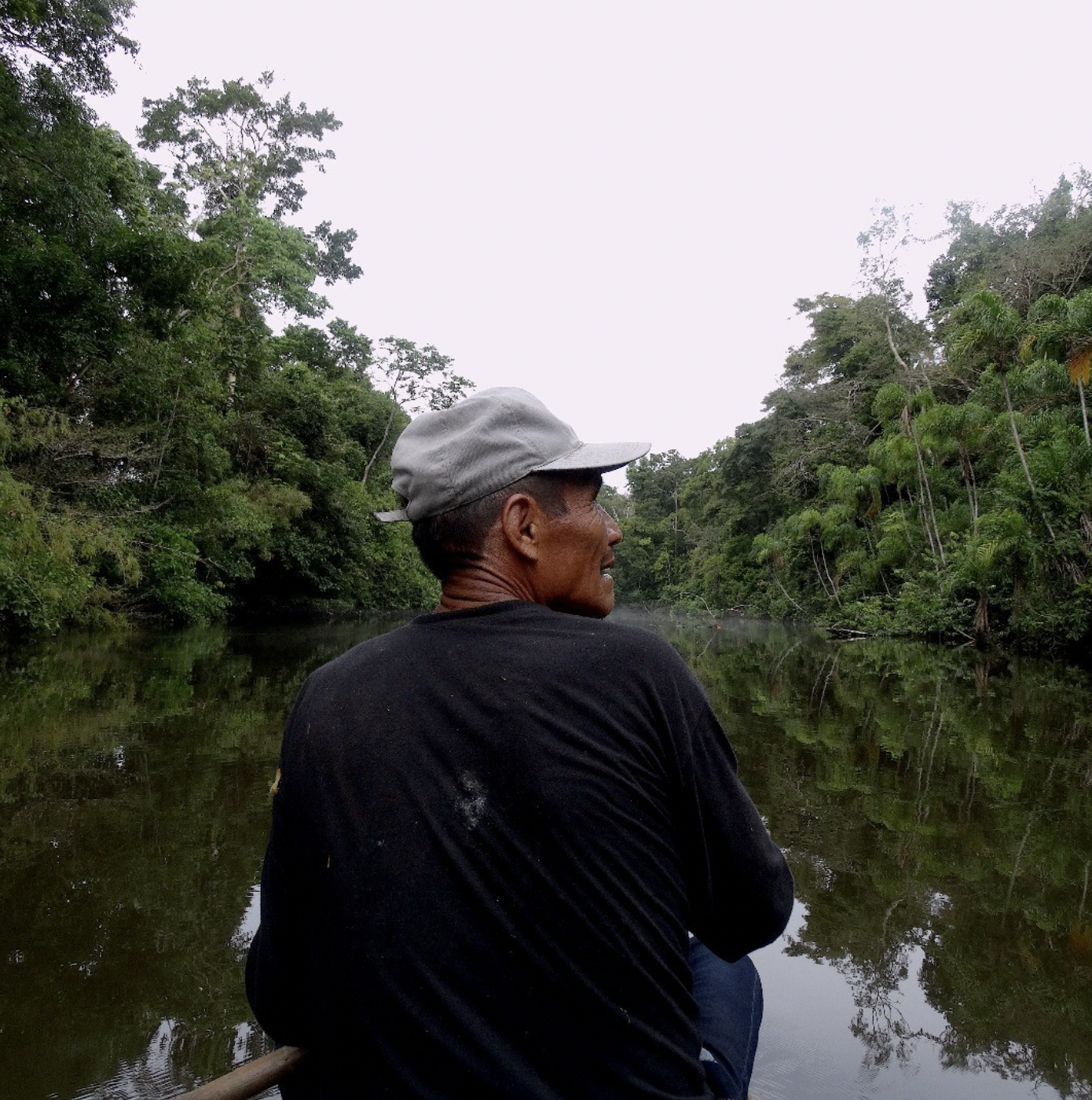 Protecting the 'heart of the earth' from ecocide