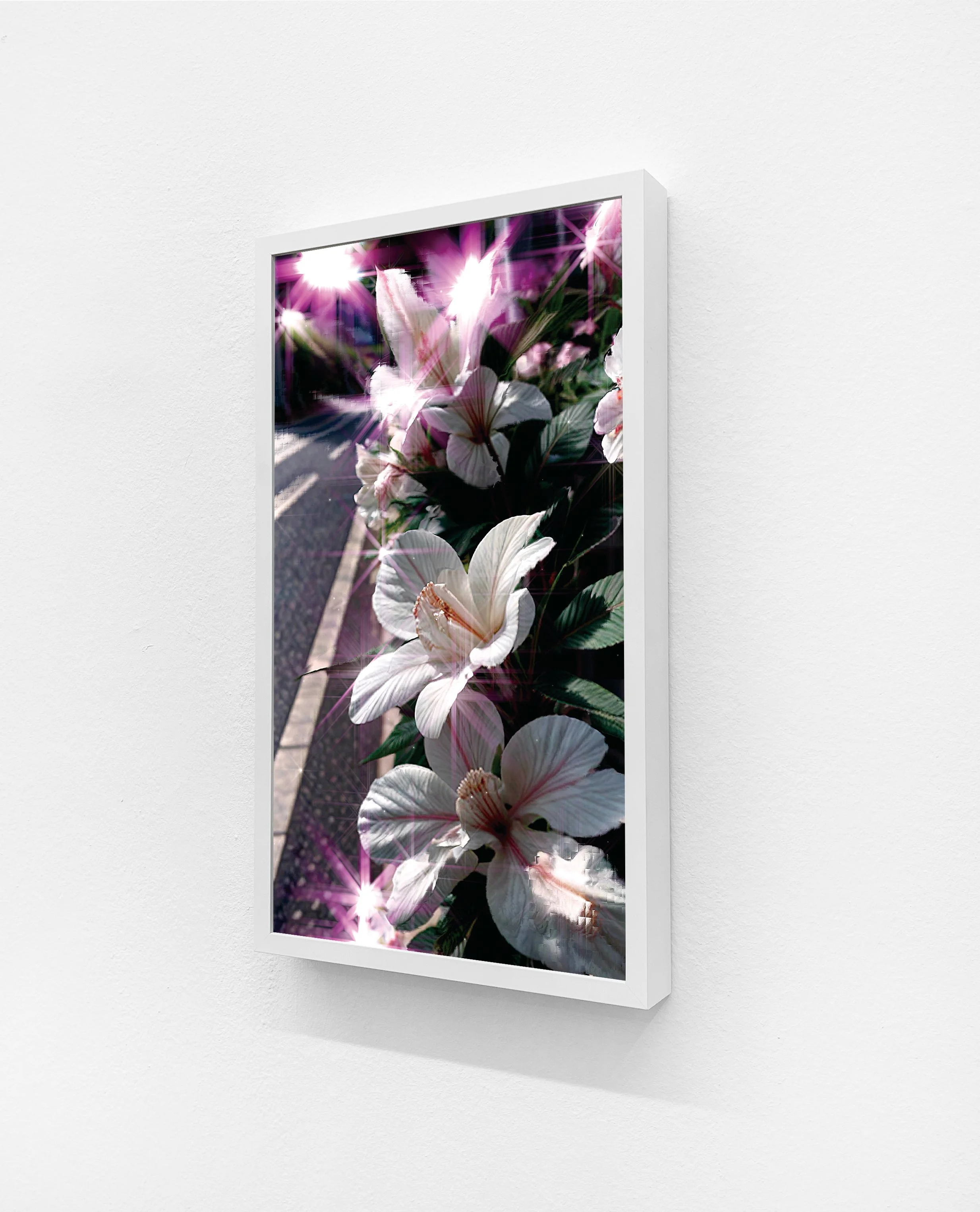 Moments in Bloom #7.jpg