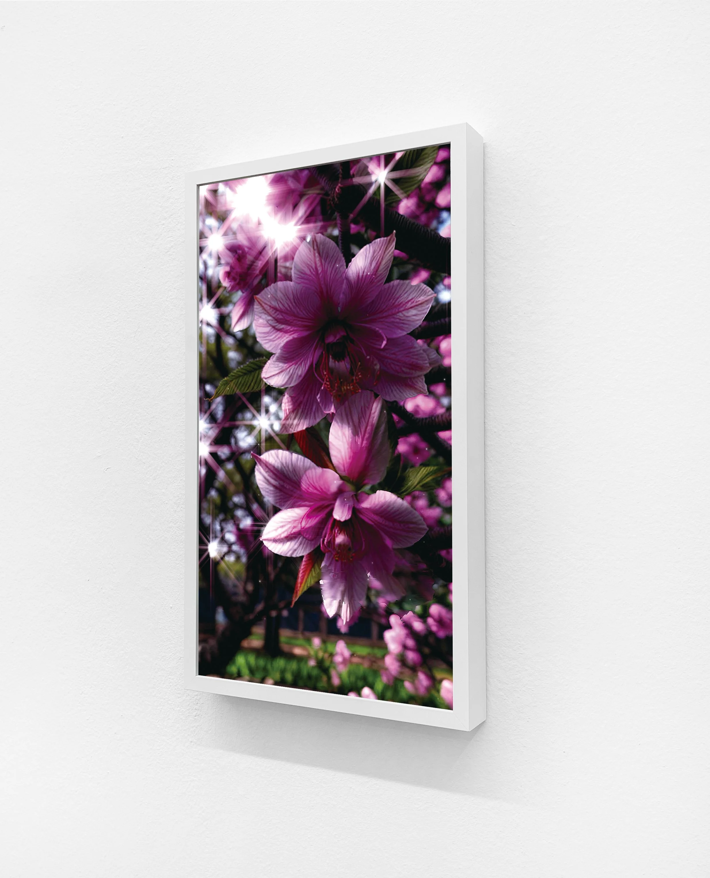 Moments in Bloom #2.jpg