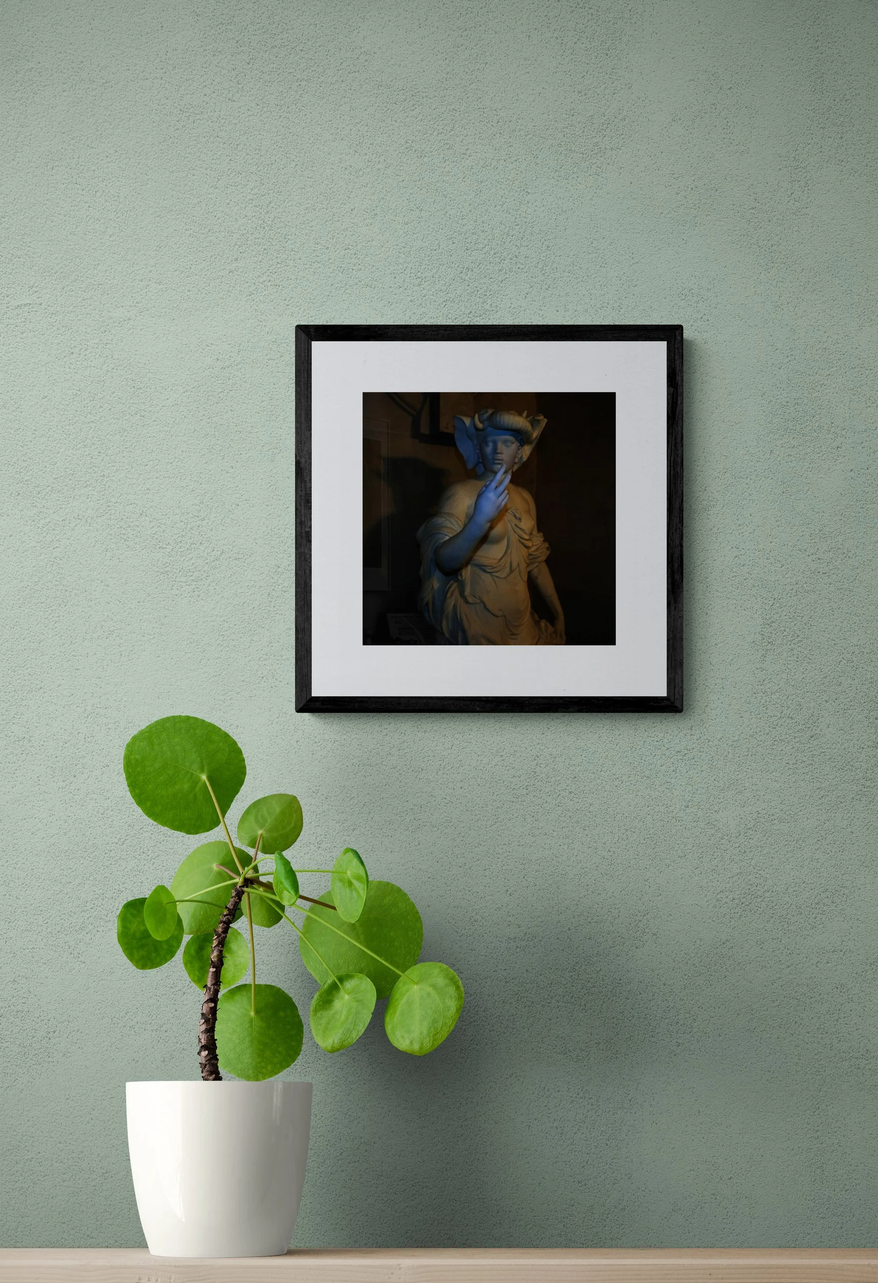 GOLD02_Nan-GOLDIN-The-Womens-March_Print_leafy-potted-plant-on-a-wooden-bench.jpg
