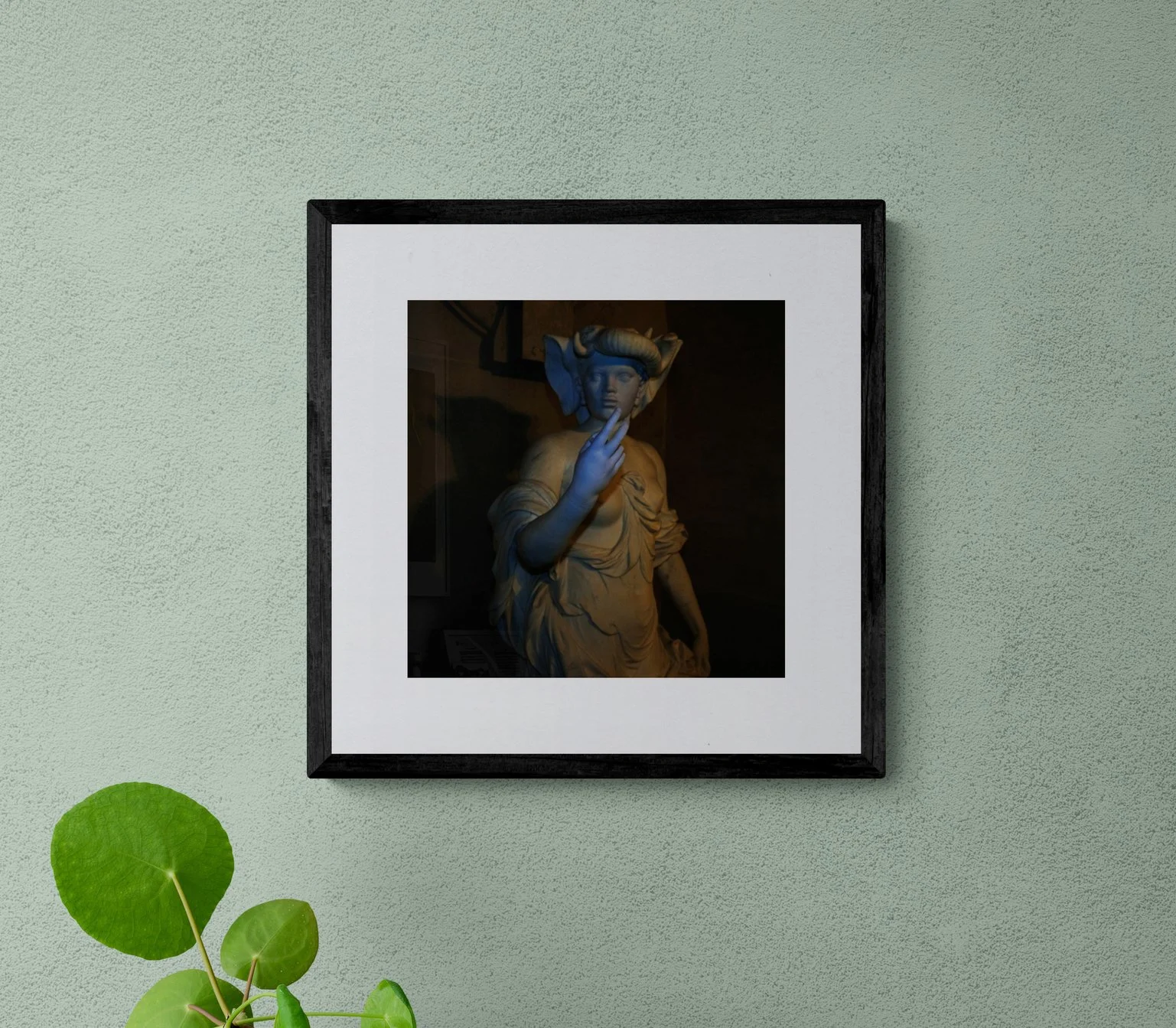 GOLD02_Nan-GOLDIN-The-Womens-March_Print_leafy-potted-plant-on-a-wooden-bench_cut.jpg