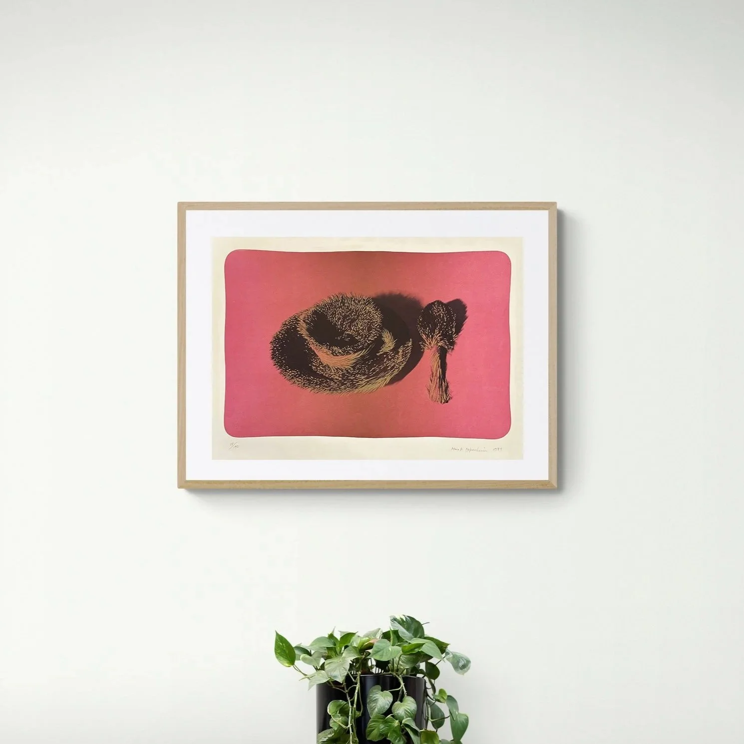 OPPE04_Pelztasse_chair-next-to-leafy-plant-on-cabinet_insert.jpg