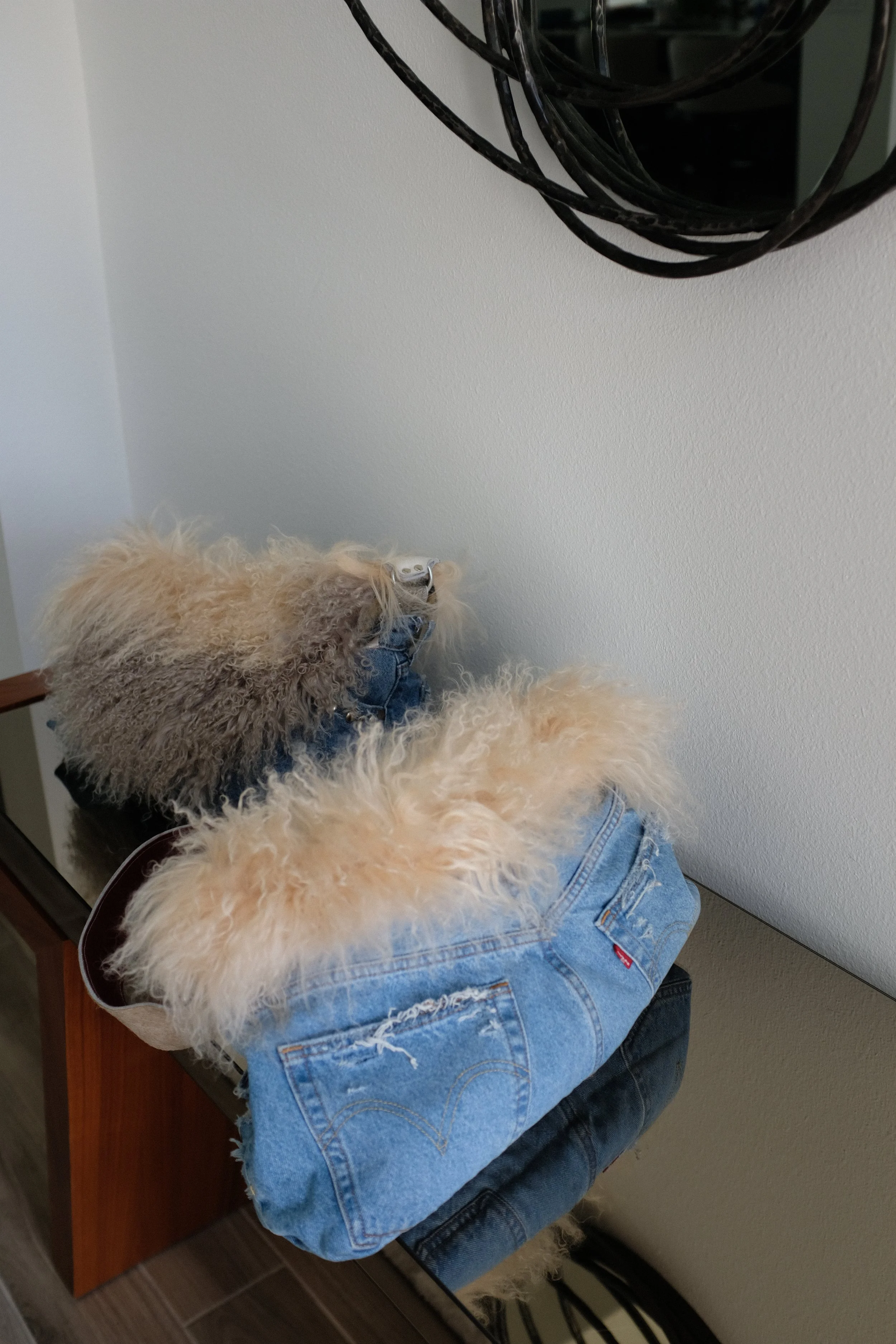 A fluffy dog wearing a denim jacket standing on a chair in front of a mirror and a plain white wall, with the dog looking away from the camera.